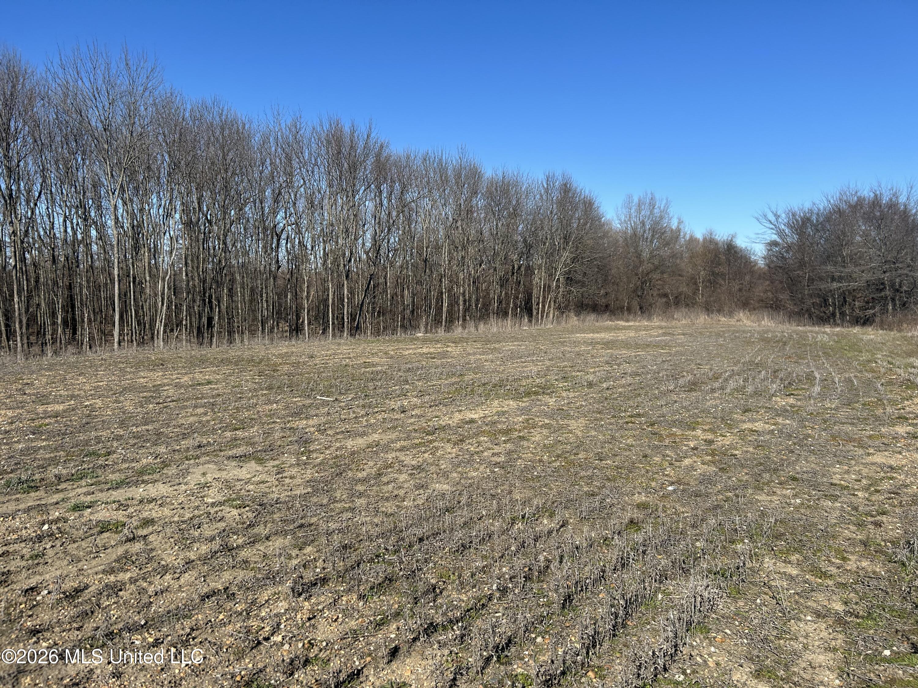 S Highway 61 Property Photo 17