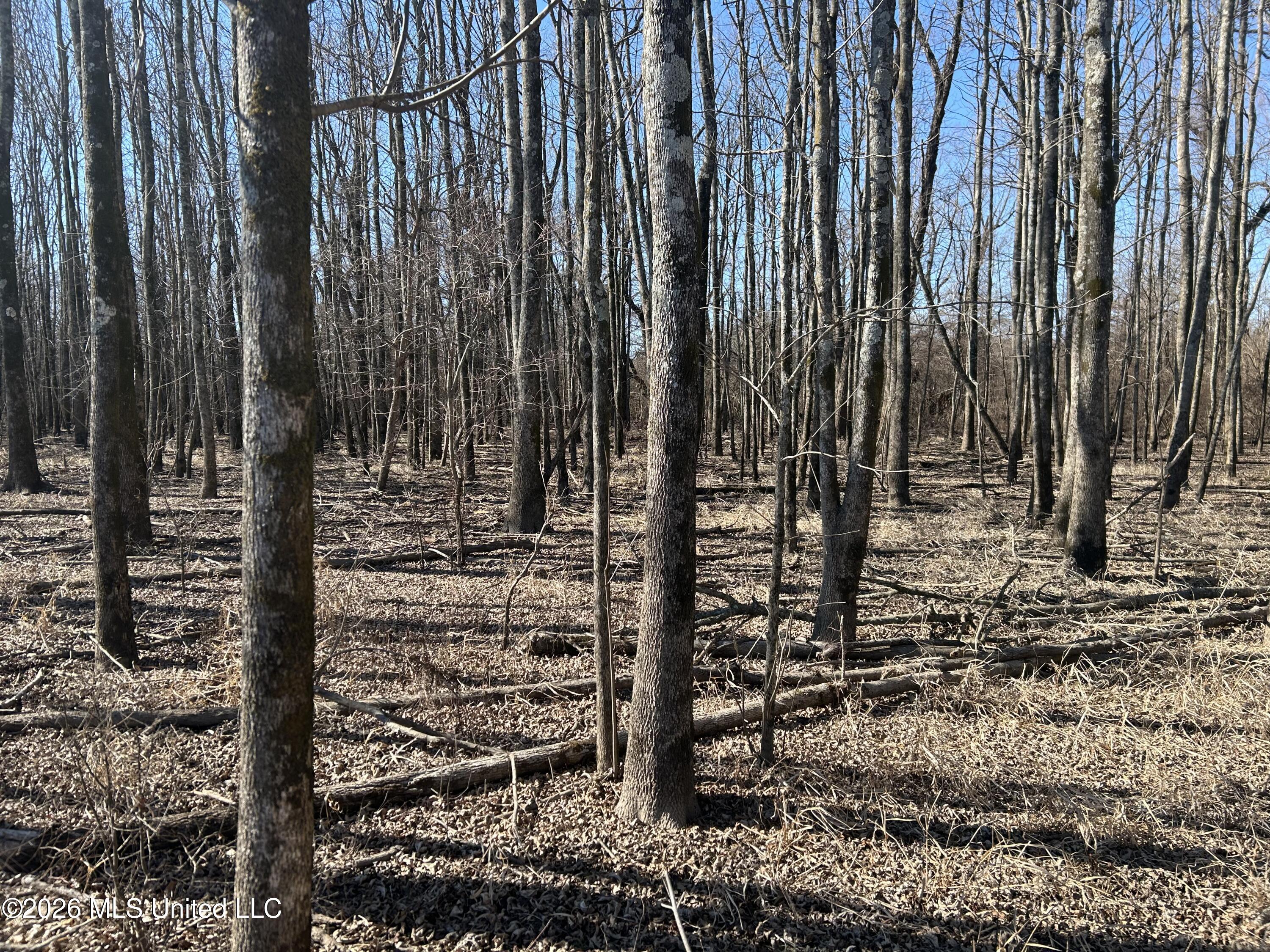 S Highway 61 Property Photo 18