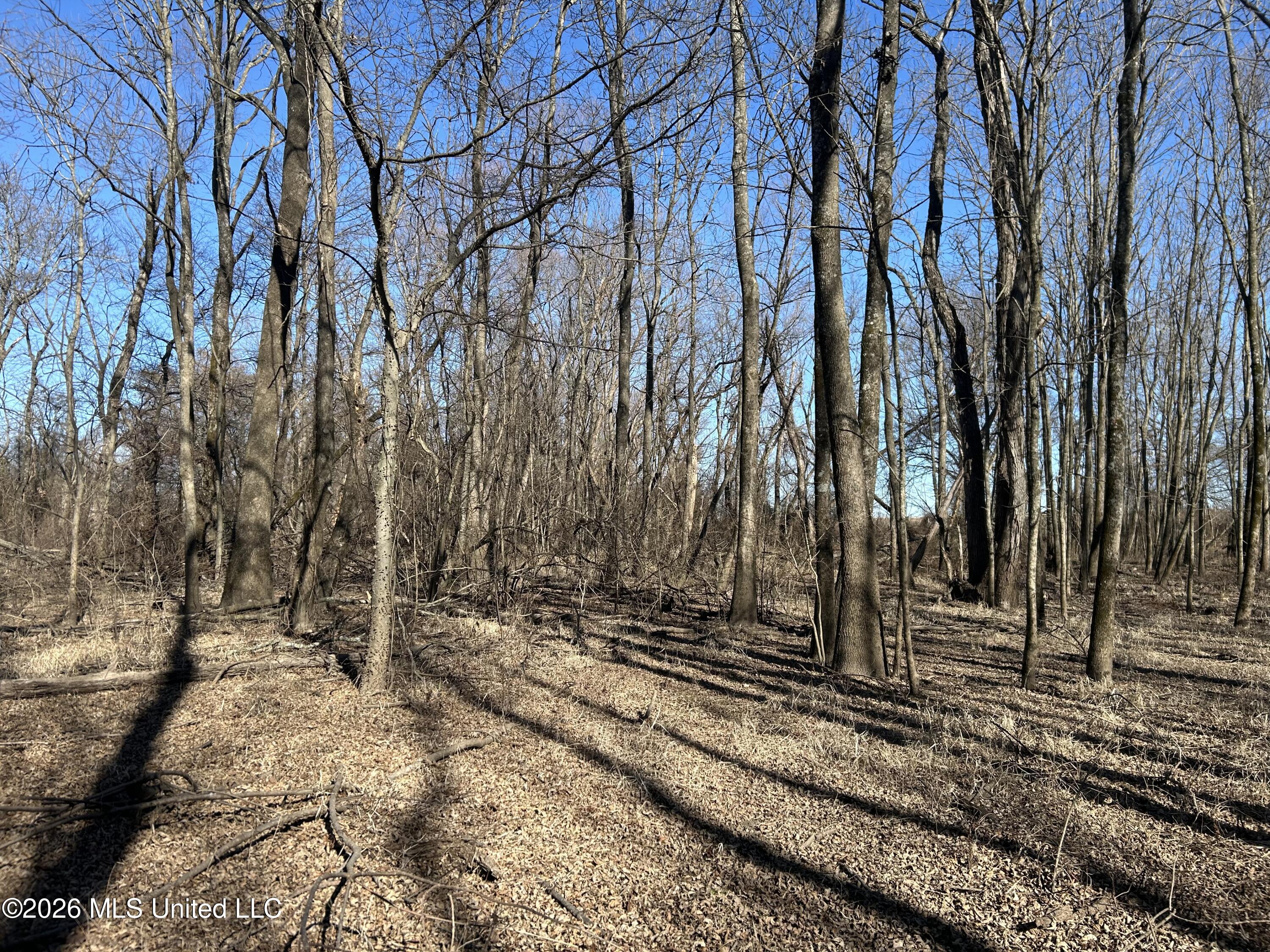 S Highway 61 Property Photo 21