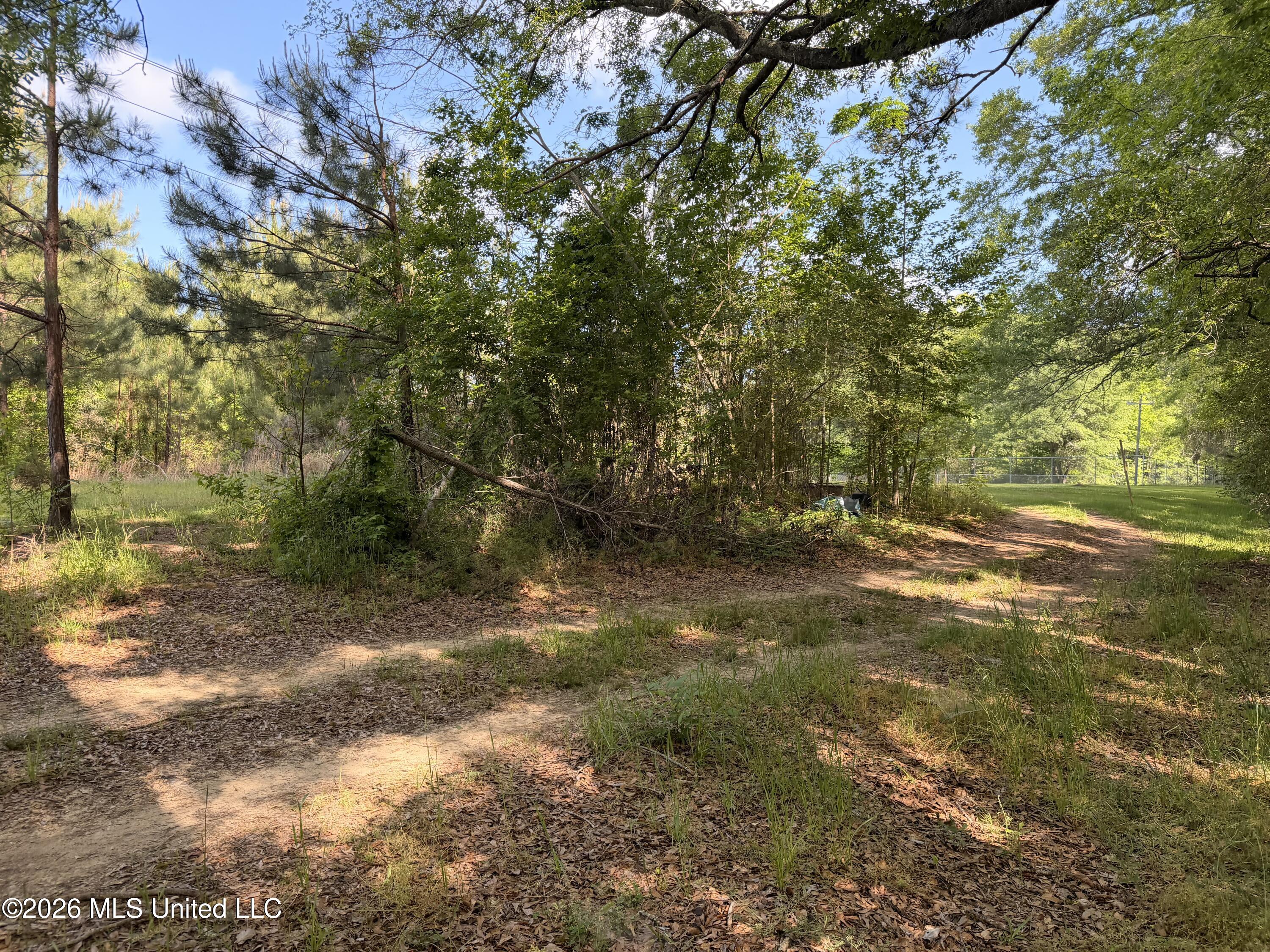 527 Carpenter Street Property Photo 7