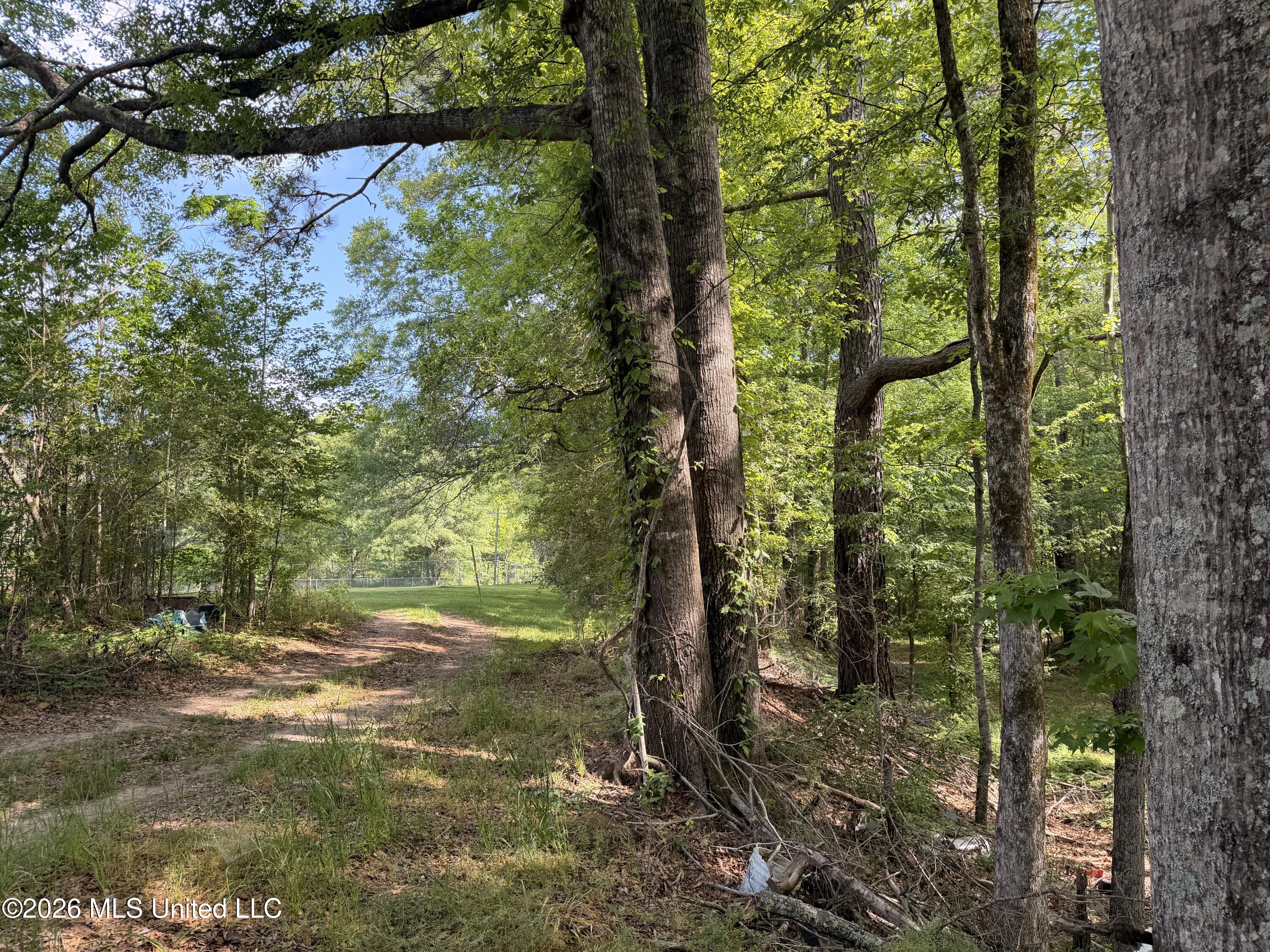527 Carpenter Street Property Photo 11