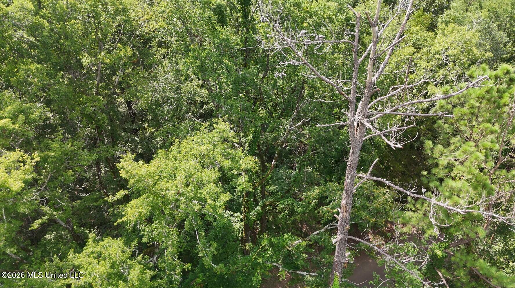 0 Chapel Hill Road Property Photo 3