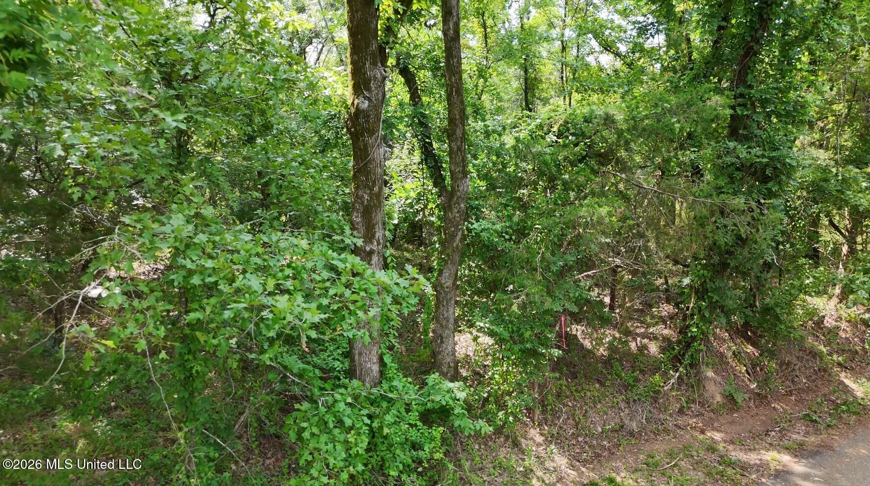 0 Chapel Hill Road Property Photo 4