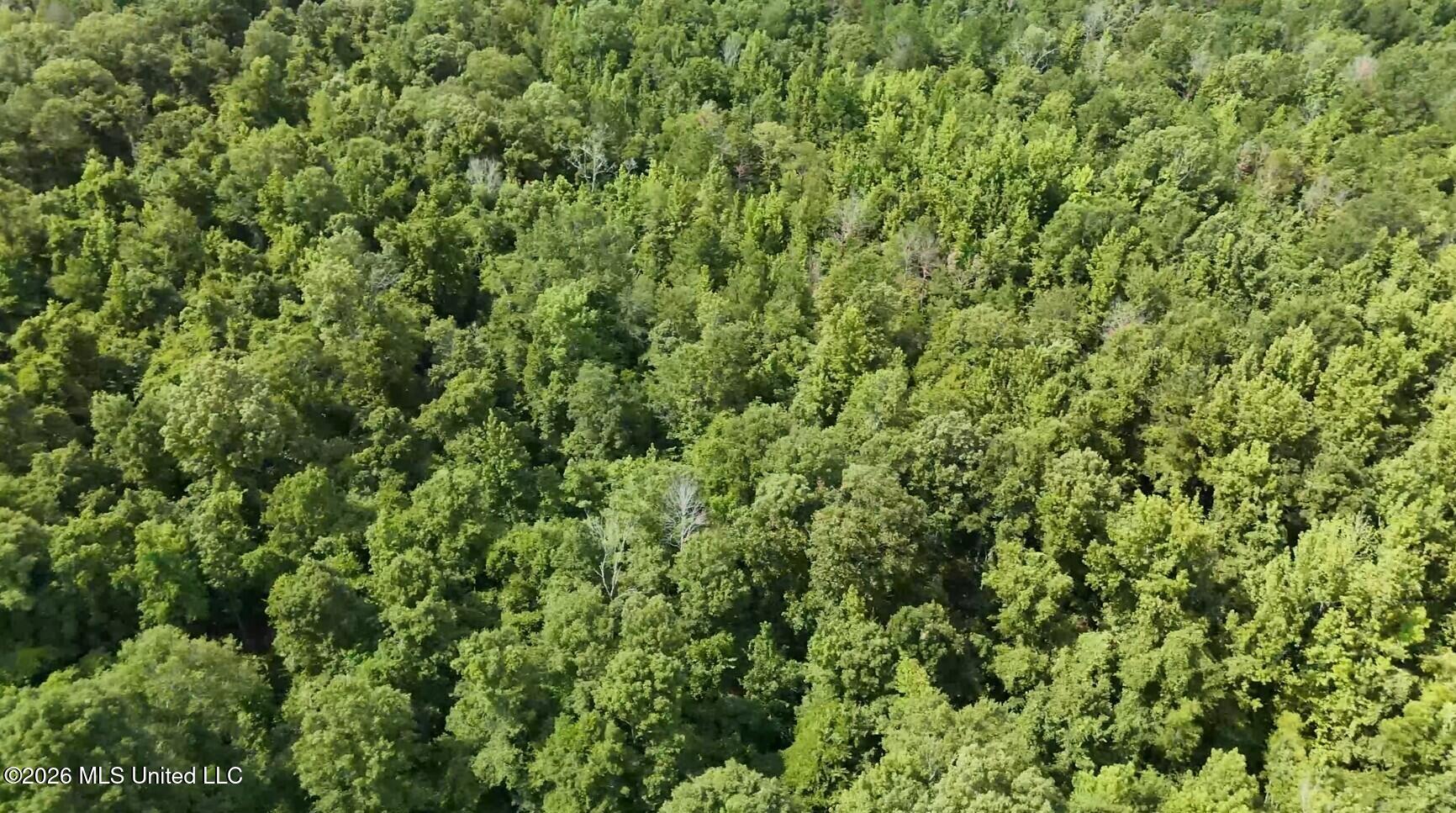0 Chapel Hill Road Property Photo 5