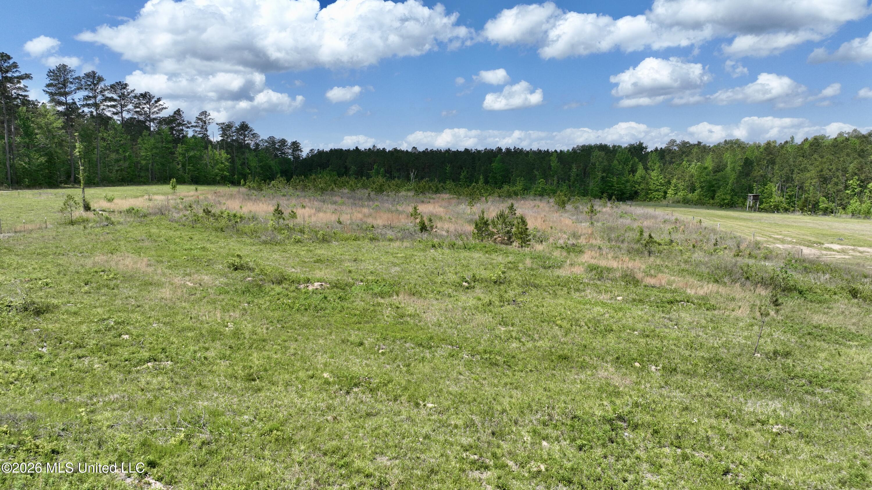 0010 Coal Bluff Road Property Photo 4