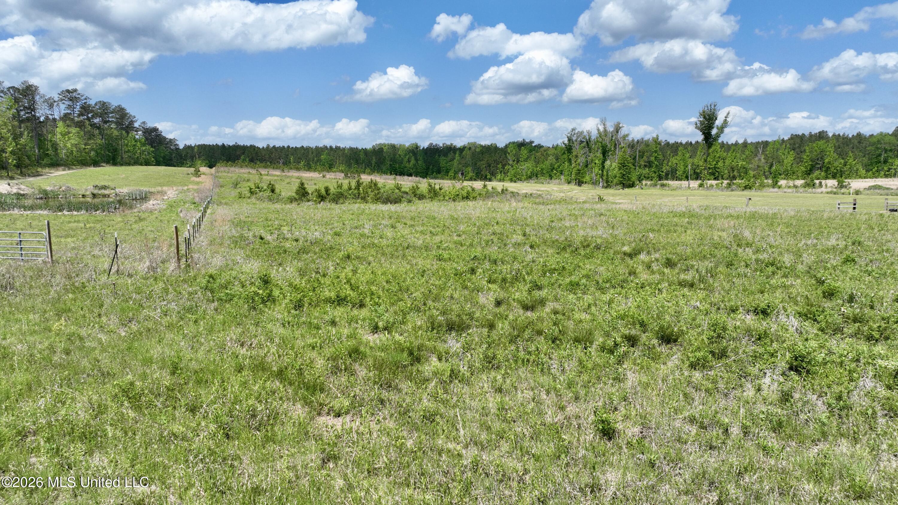 0010 Coal Bluff Road Property Photo 13