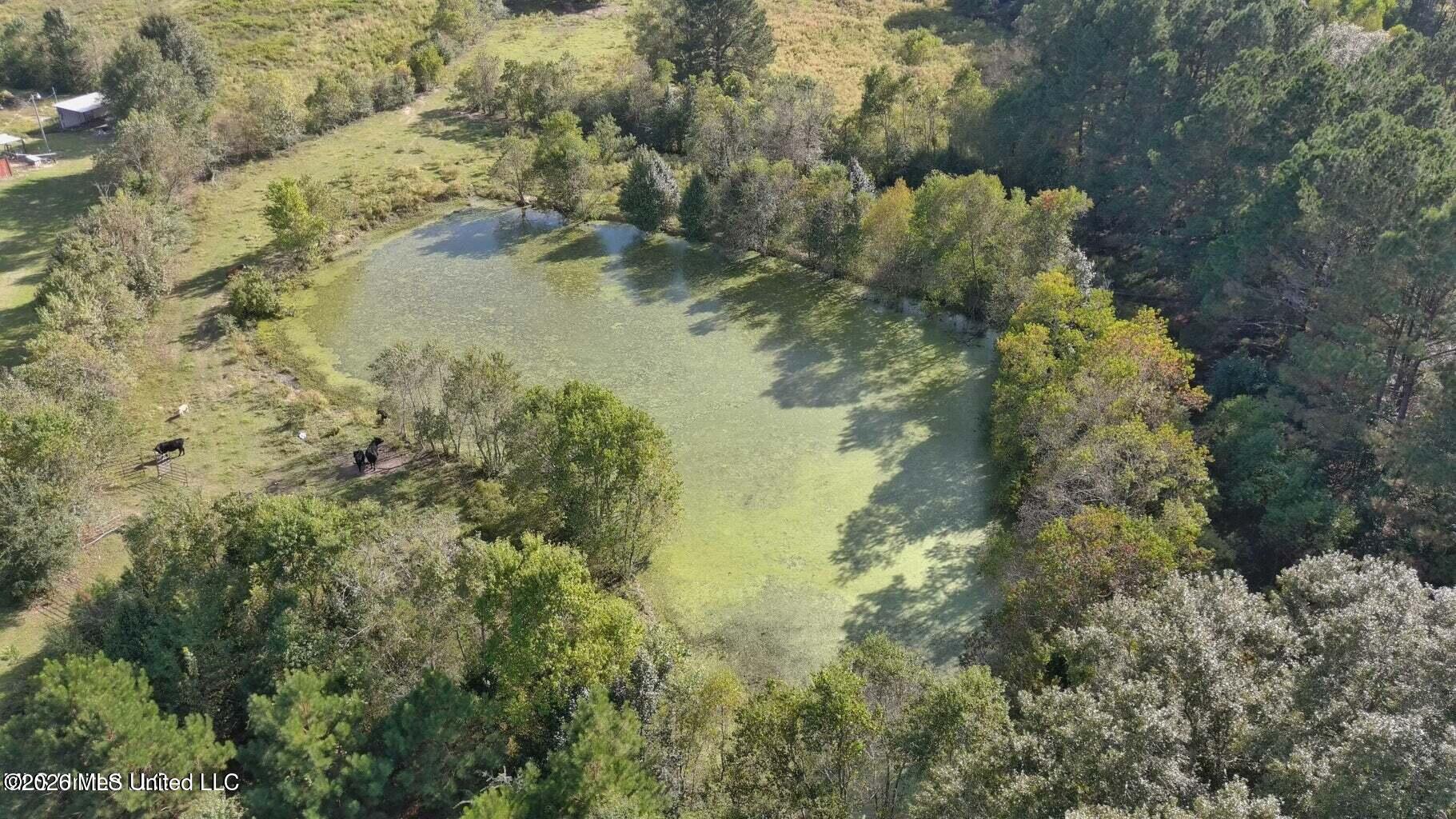 E Us Highway 98 Property Photo 2