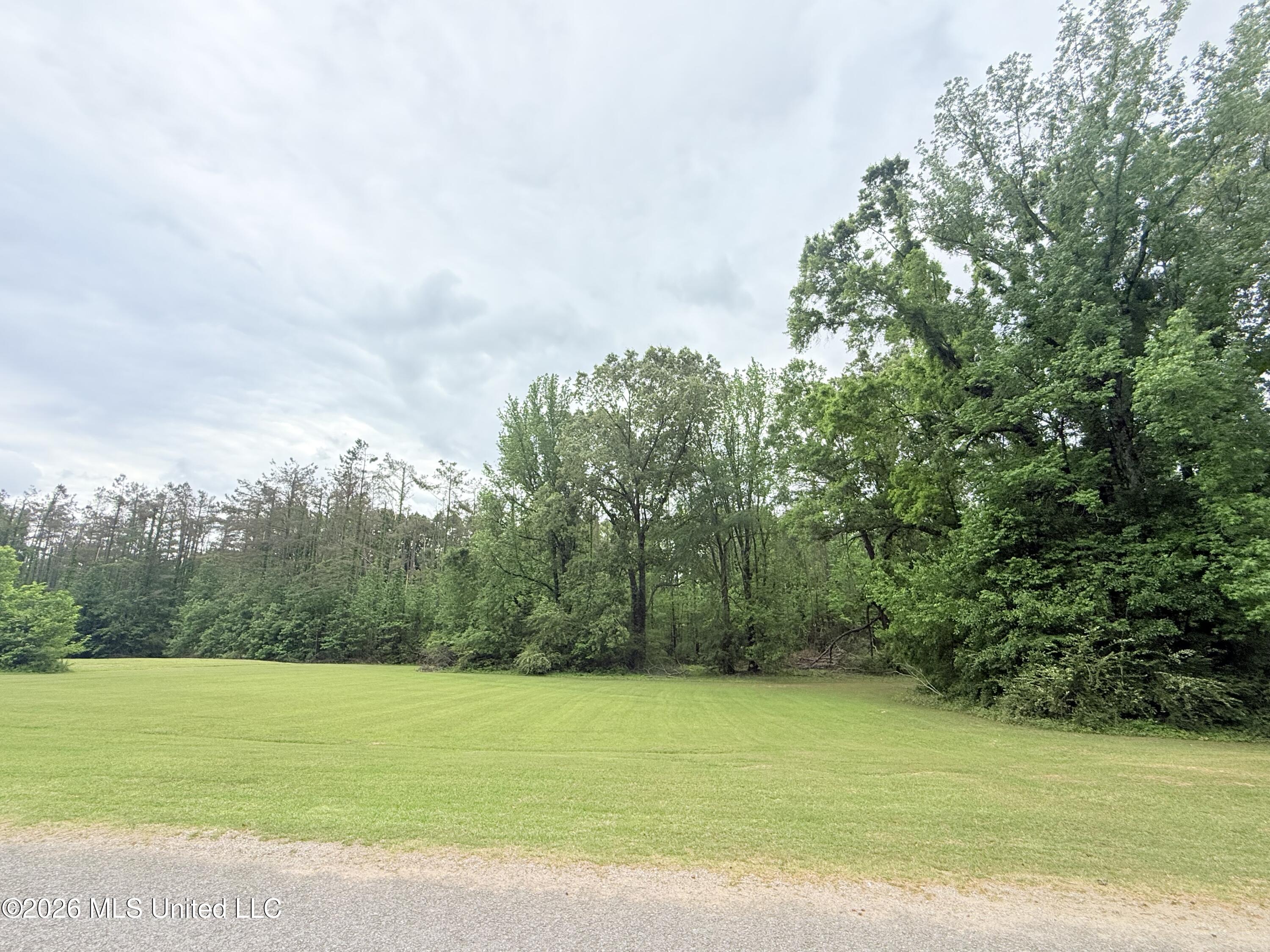 Whitney Drive Property Photo 8