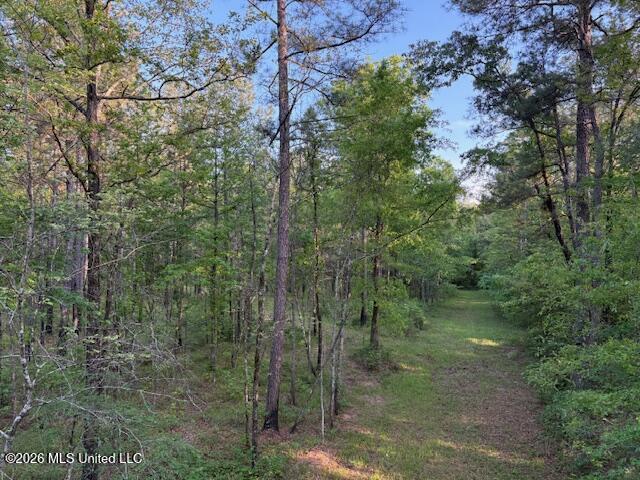 Mudline Road Property Photo 1