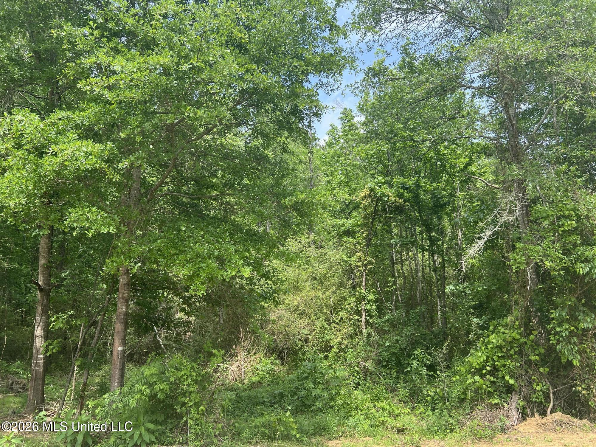 1846 Loring Road Property Photo 27
