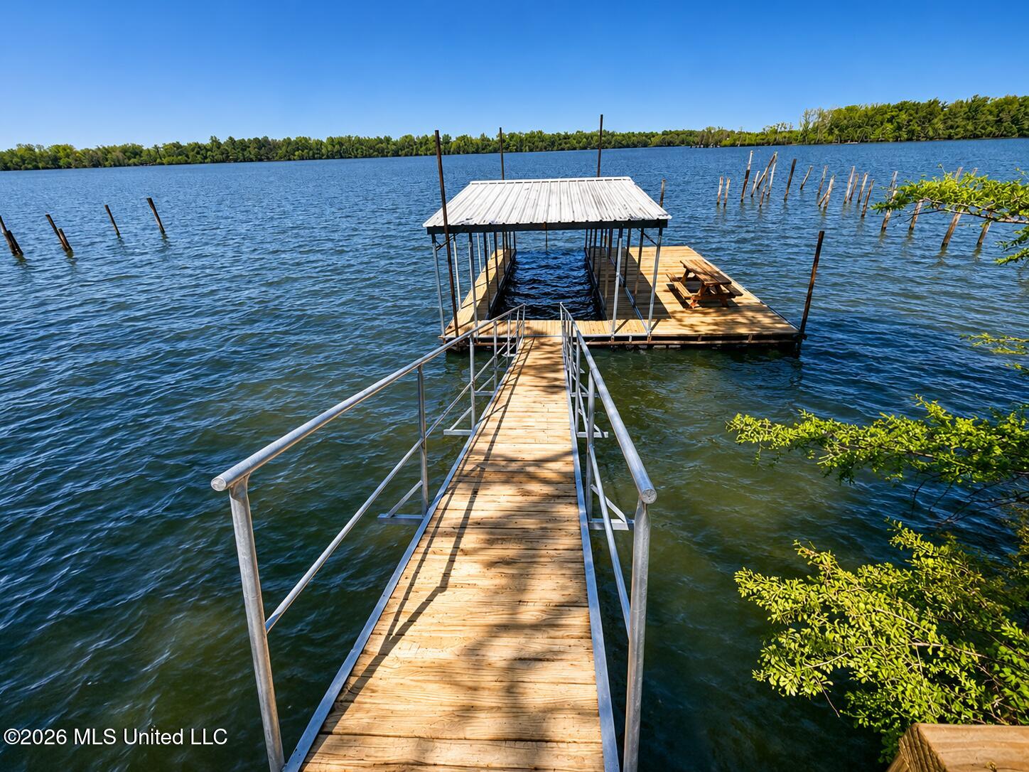 1238 Moon Lake Road Property Photo 5