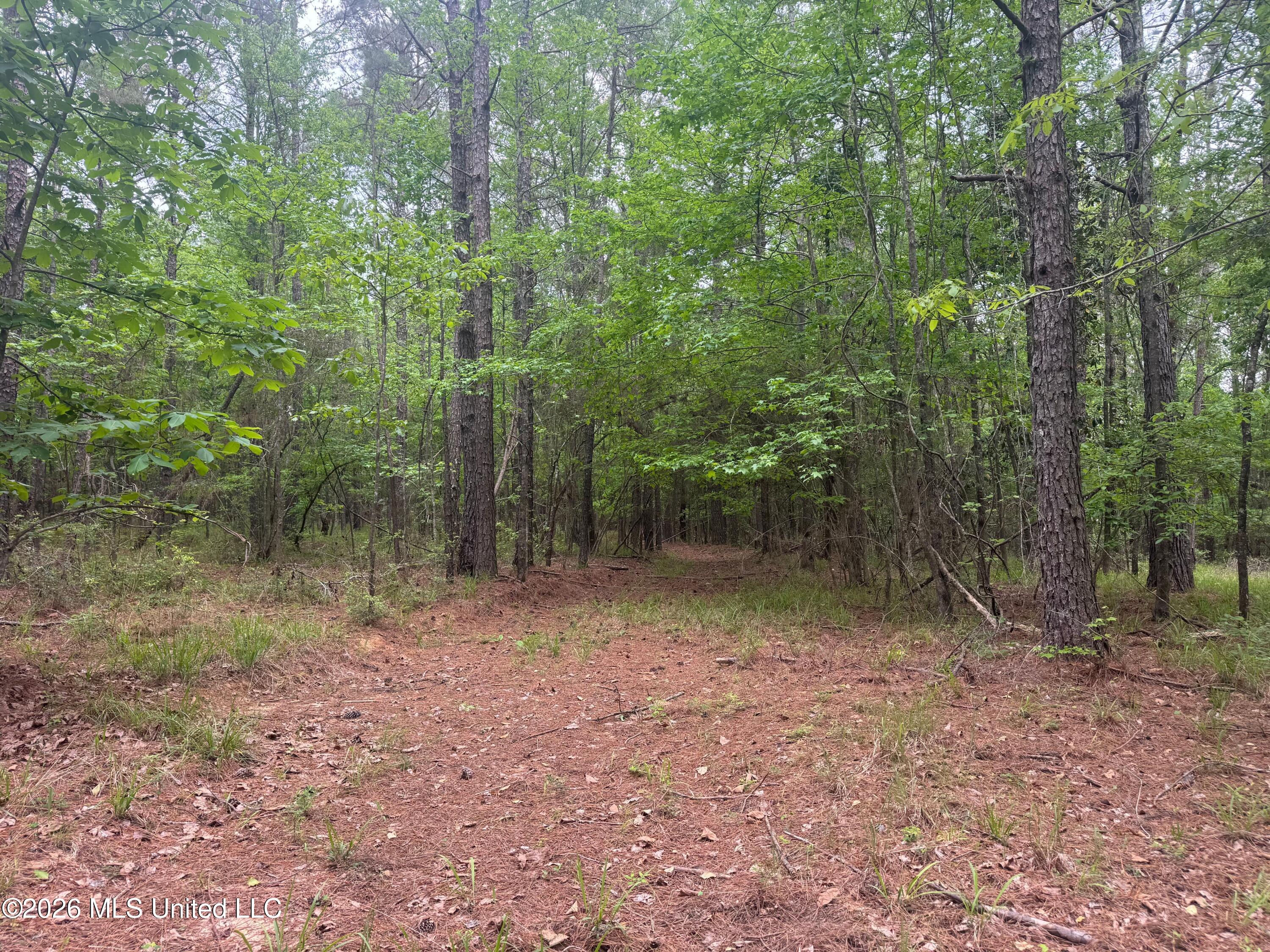 Bushtown Road Property Photo 3