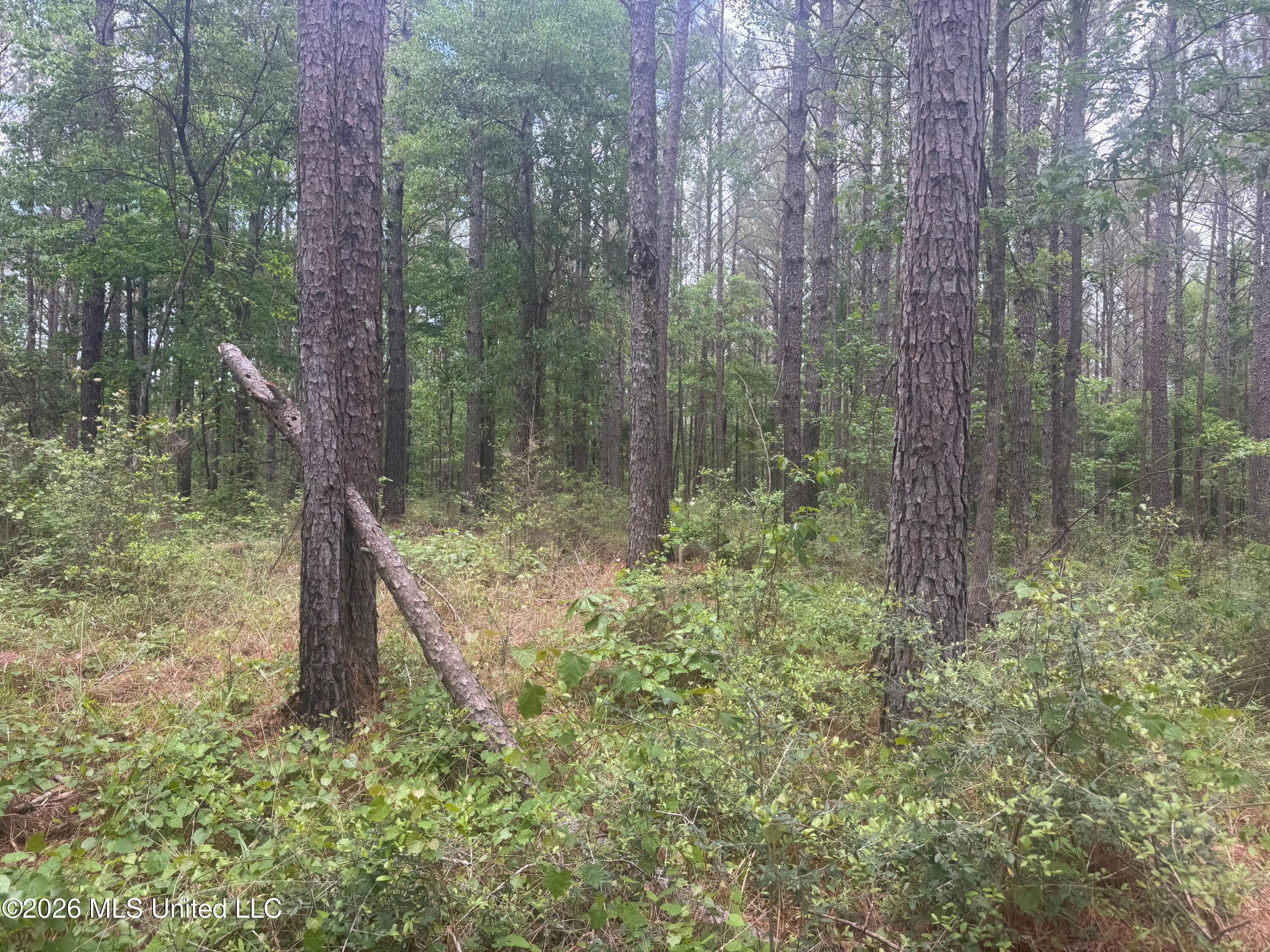 Bushtown Road Property Photo 7