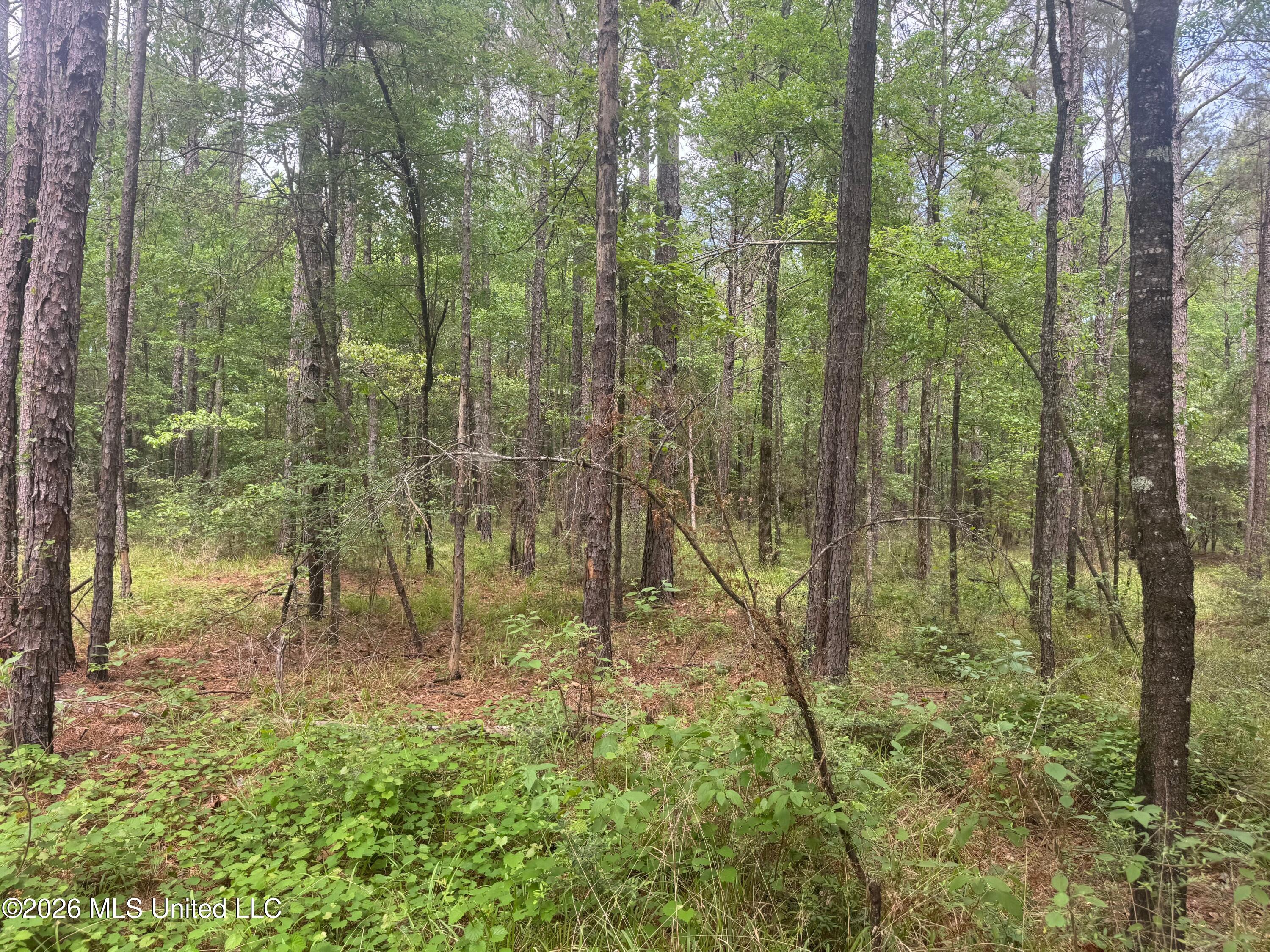 Bushtown Road Property Photo 11