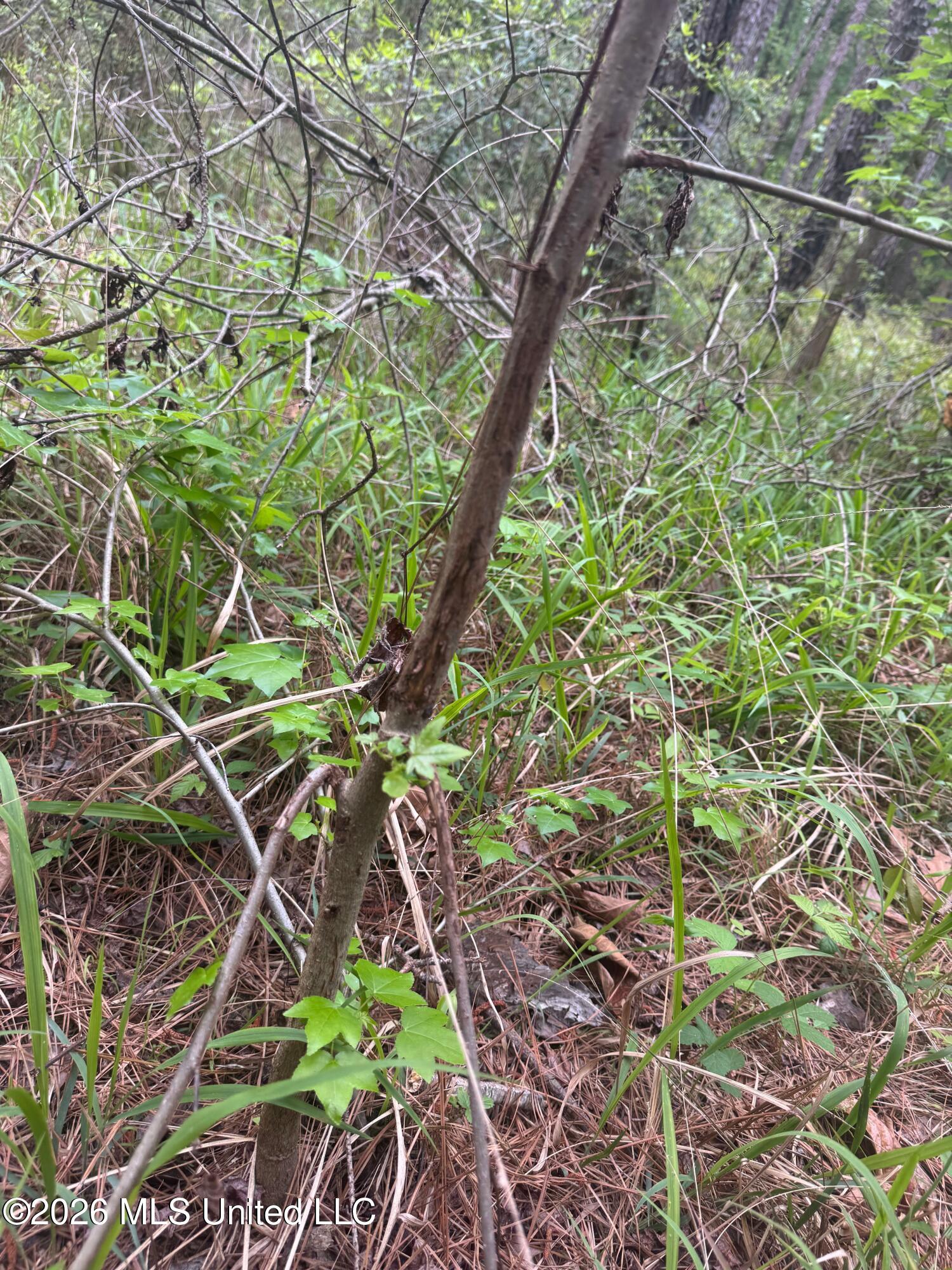 Bushtown Road Property Photo 12