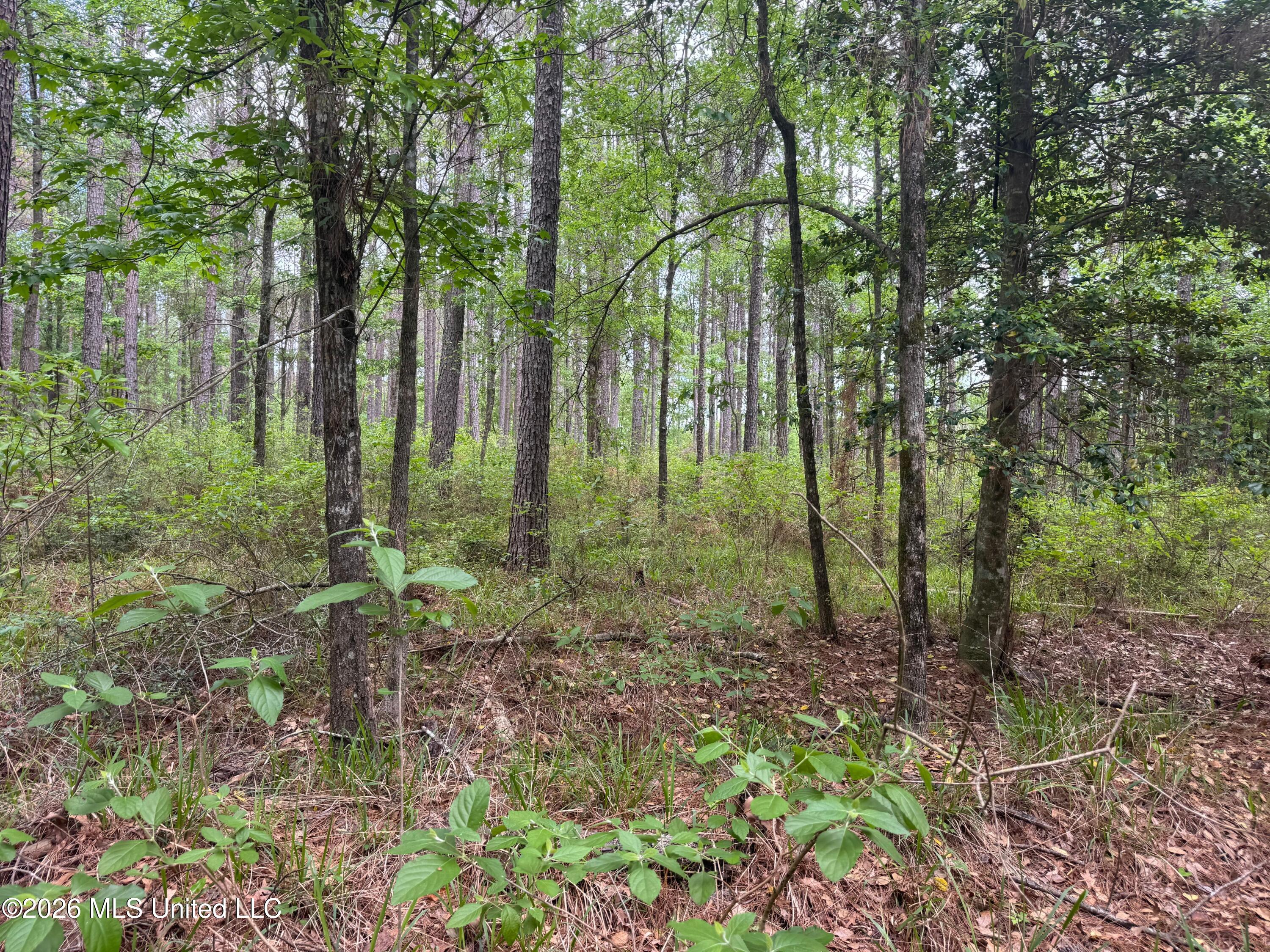 Bushtown Road Property Photo 13
