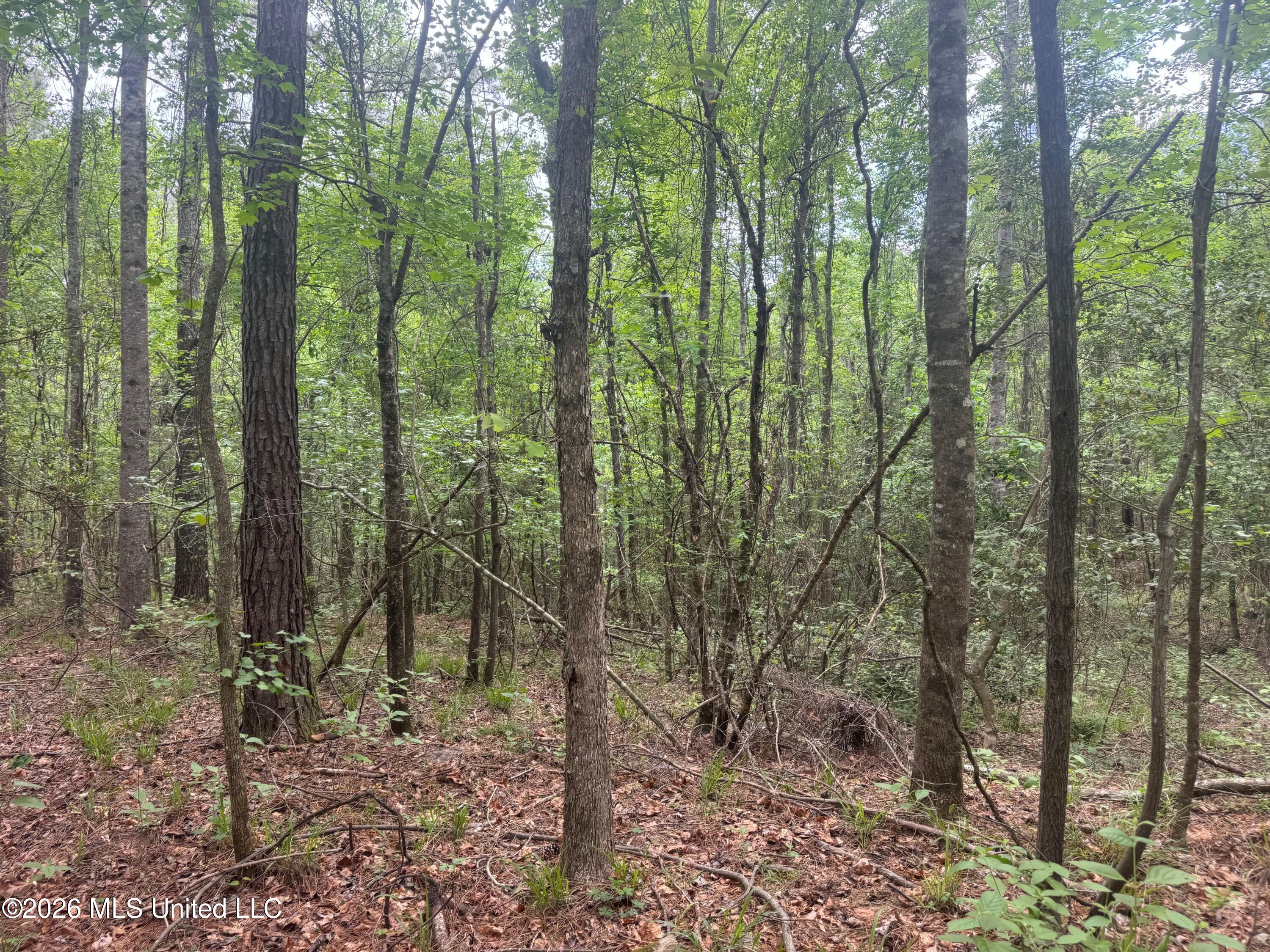 Bushtown Road Property Photo 14
