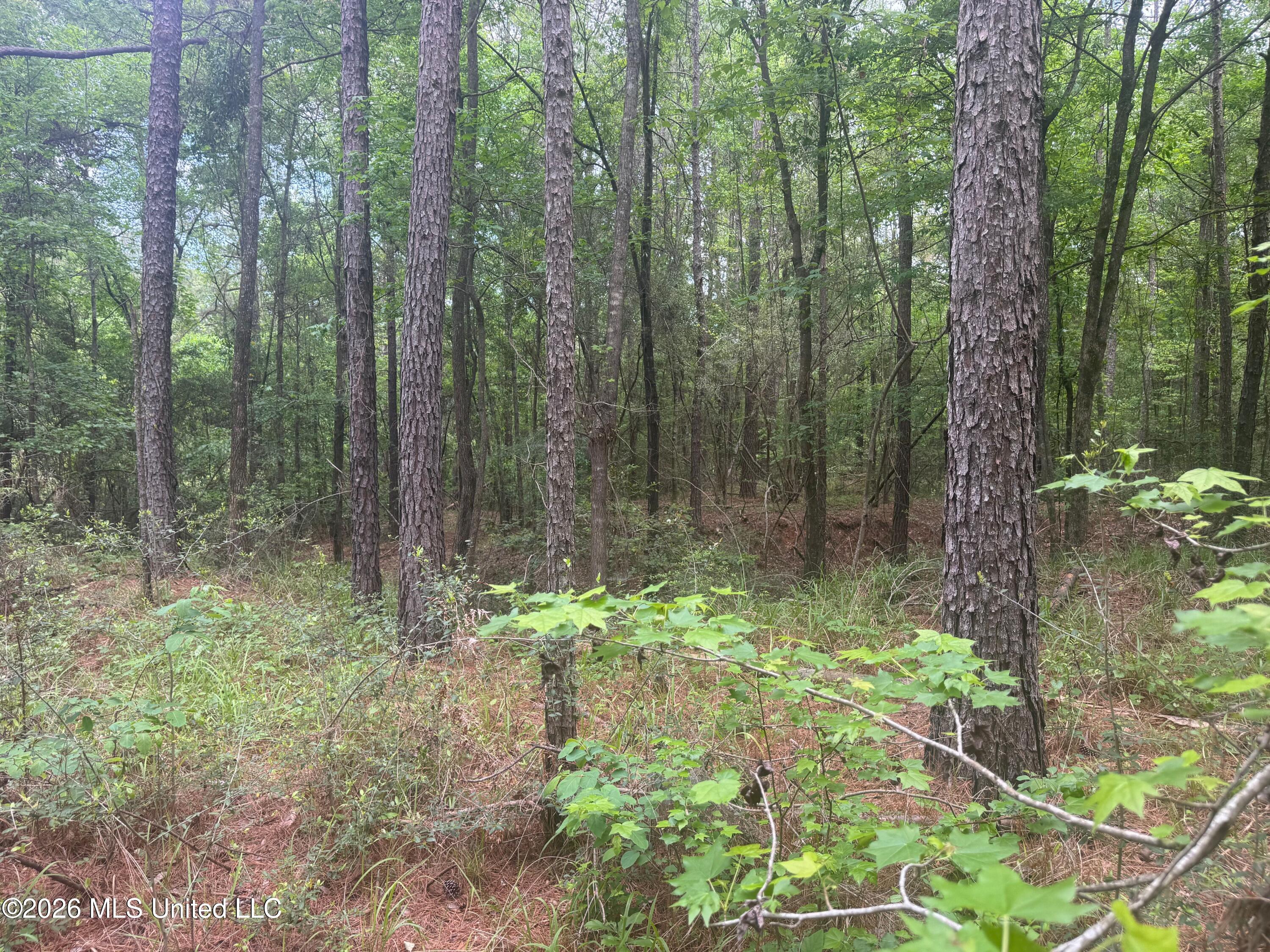 Bushtown Road Property Photo 17