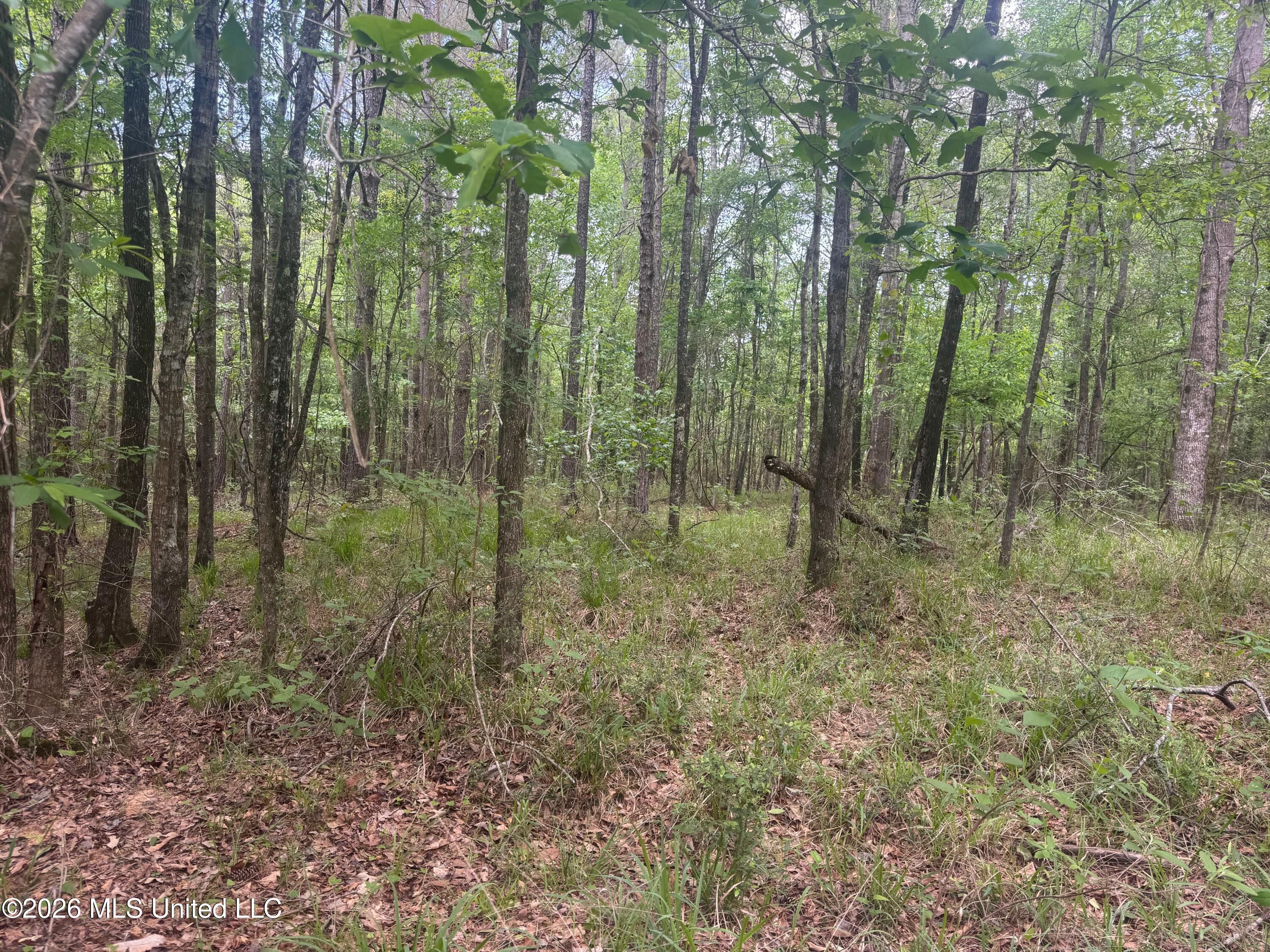 Bushtown Road Property Photo 18