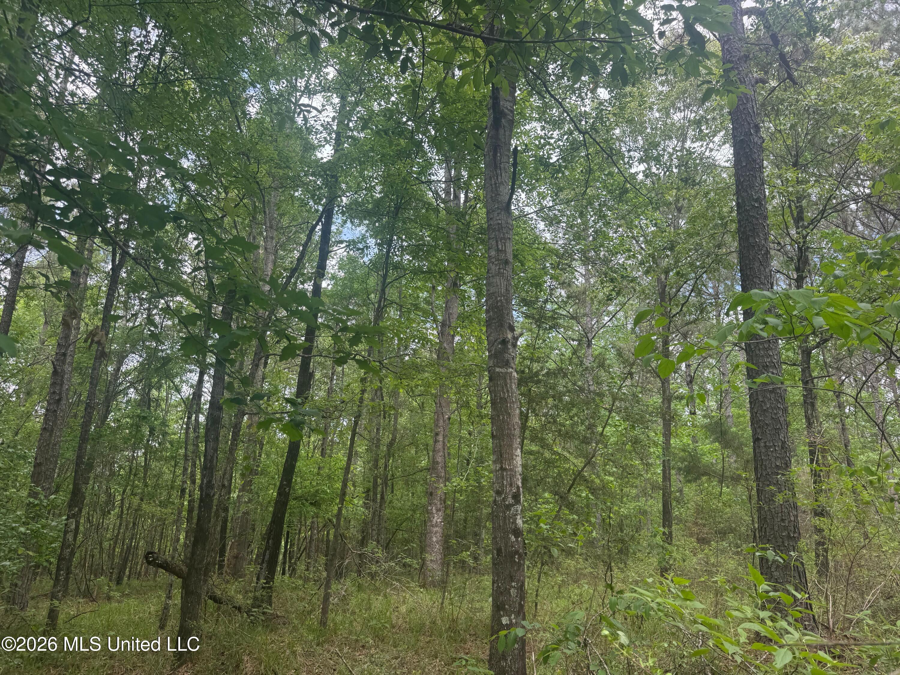 Bushtown Road Property Photo 20
