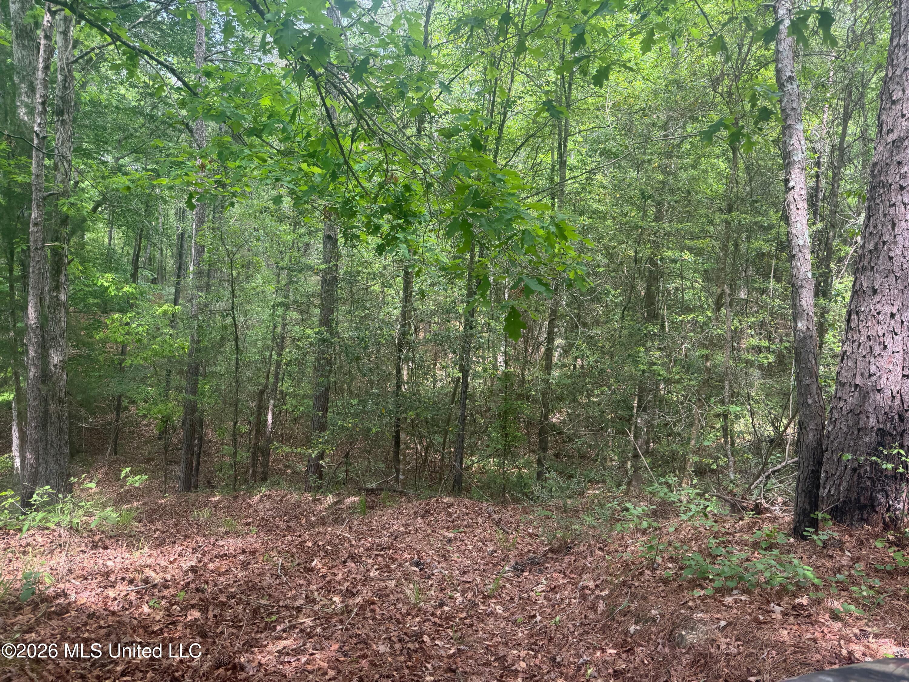 Bushtown Road Property Photo 21