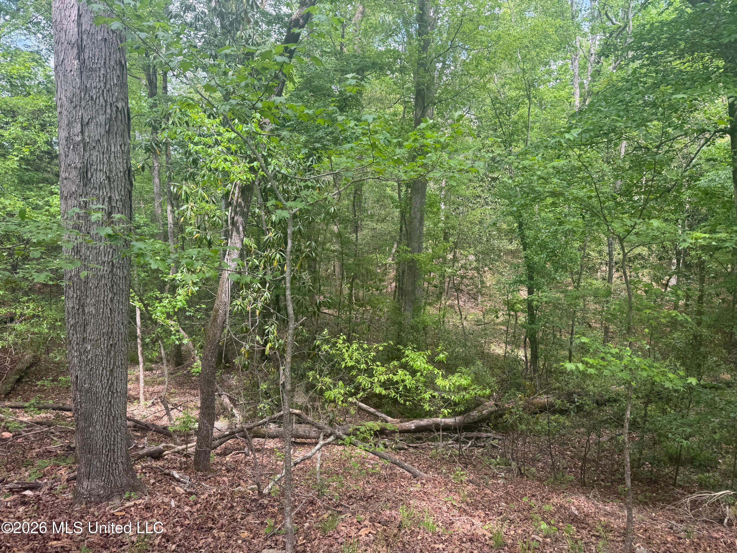 Bushtown Road Property Photo 22