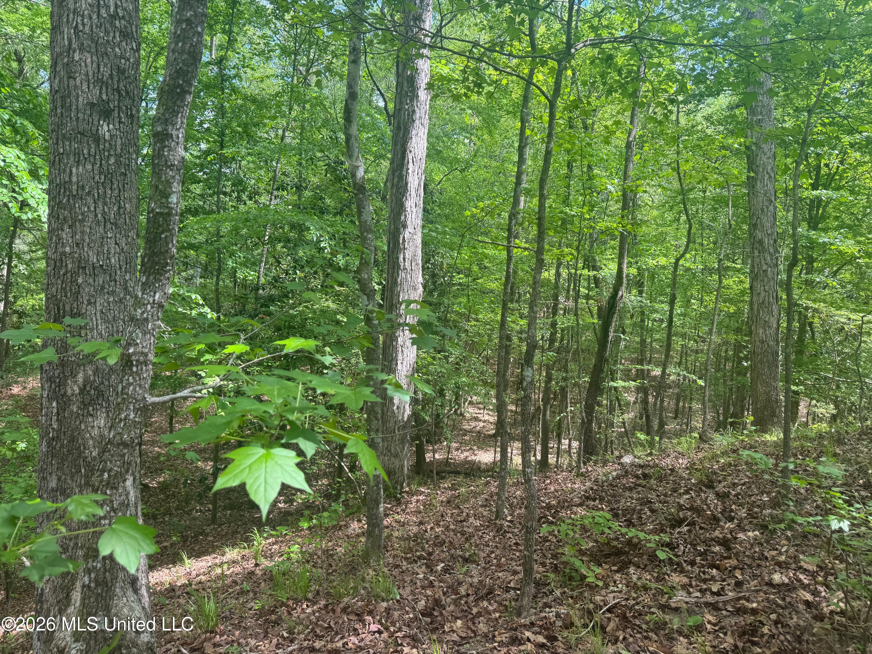 Bushtown Road Property Photo 23