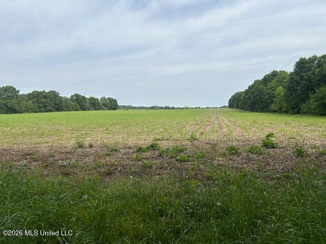 Old Jackson Road Property Photo 2