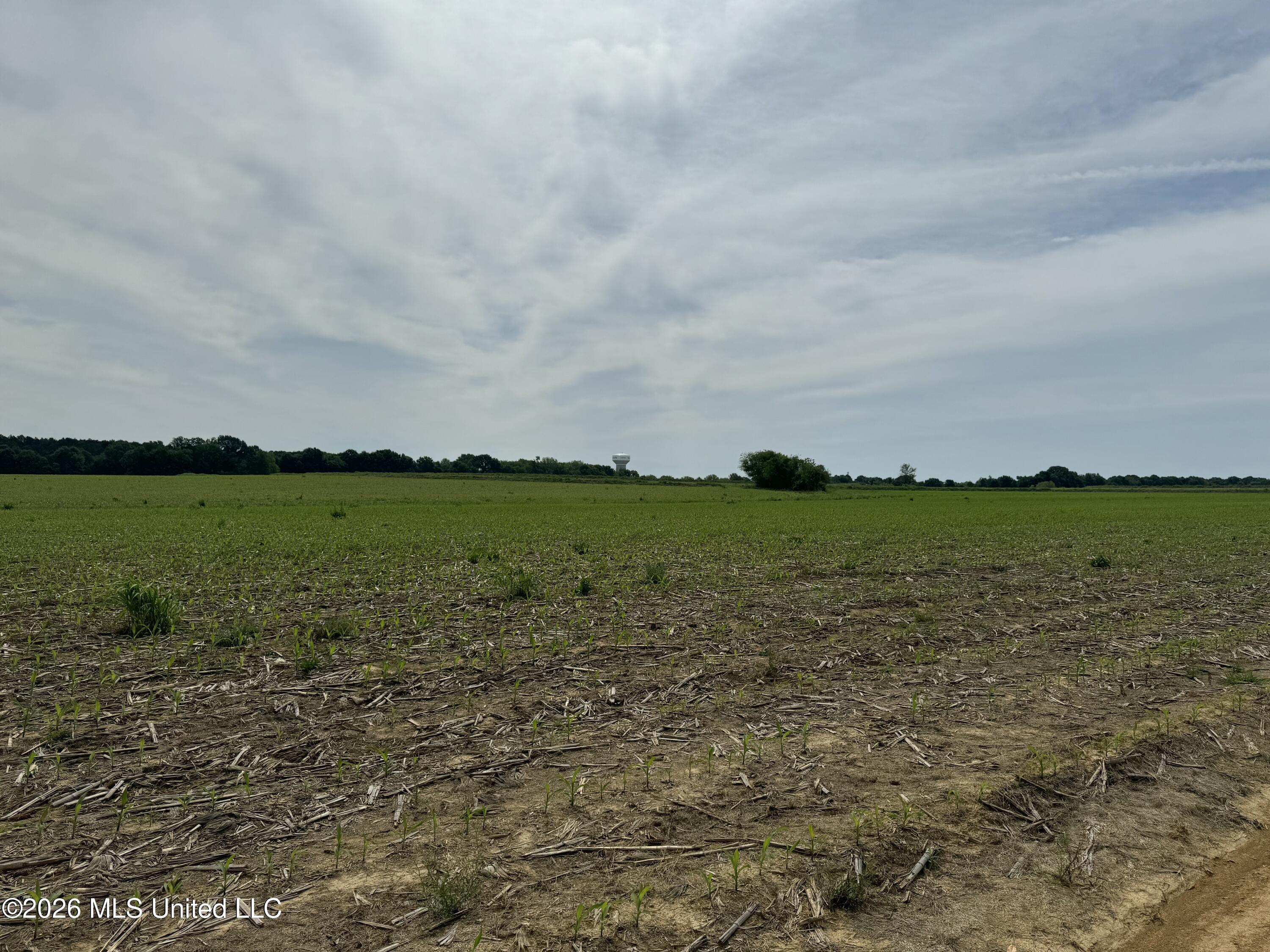 Old Jackson Road Property Photo 5