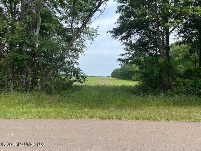 Old Jackson Road Property Photo 6