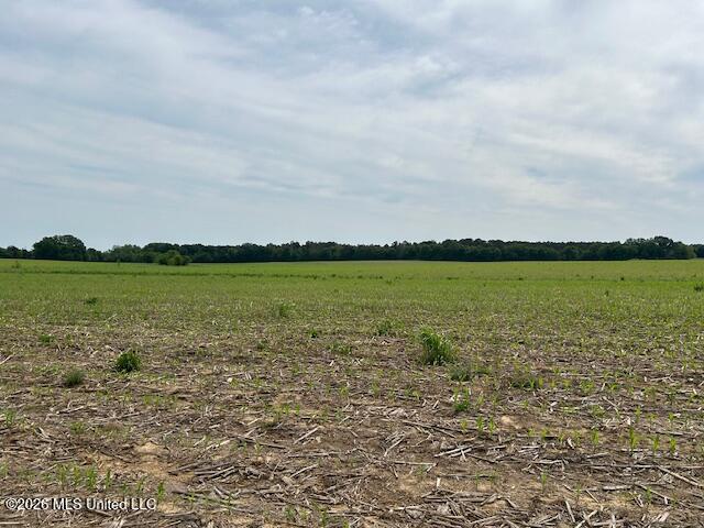 Old Jackson Road Property Photo 7