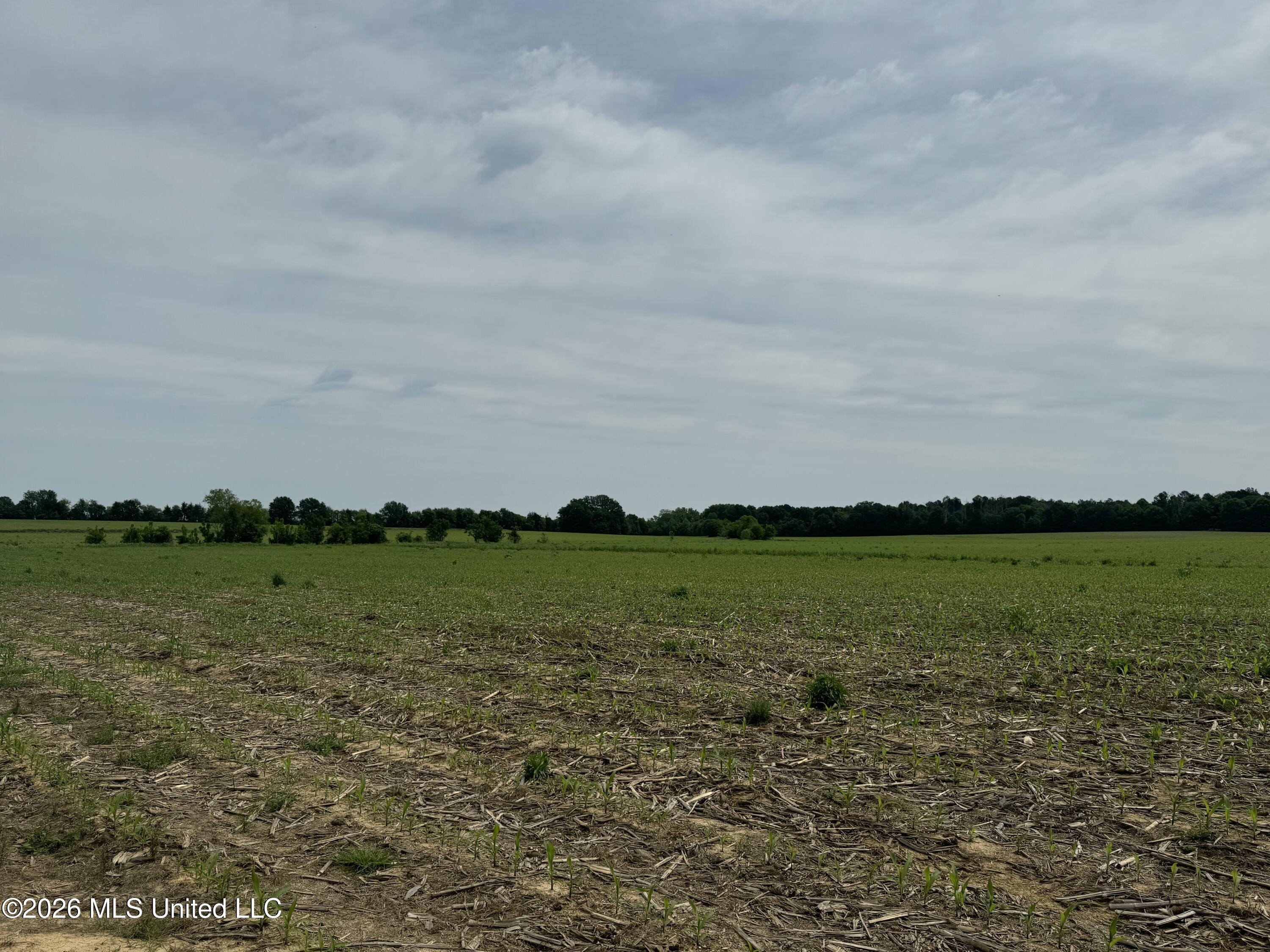 Old Jackson Road Property Photo 8