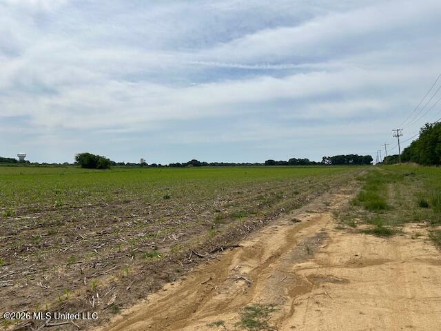 Old Jackson Road Property Photo 11