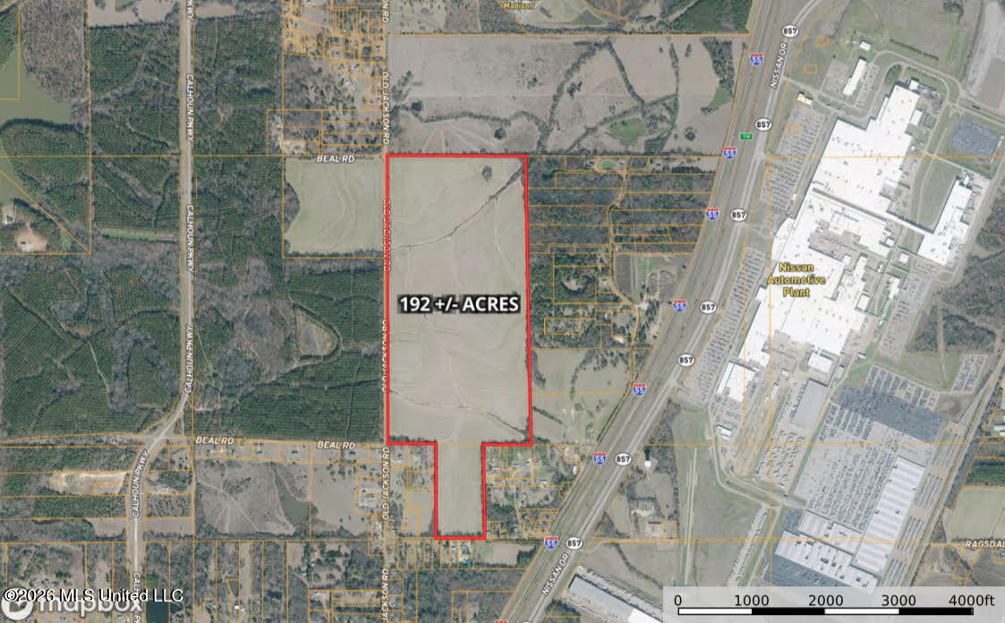 Old Jackson Road Property Photo 12