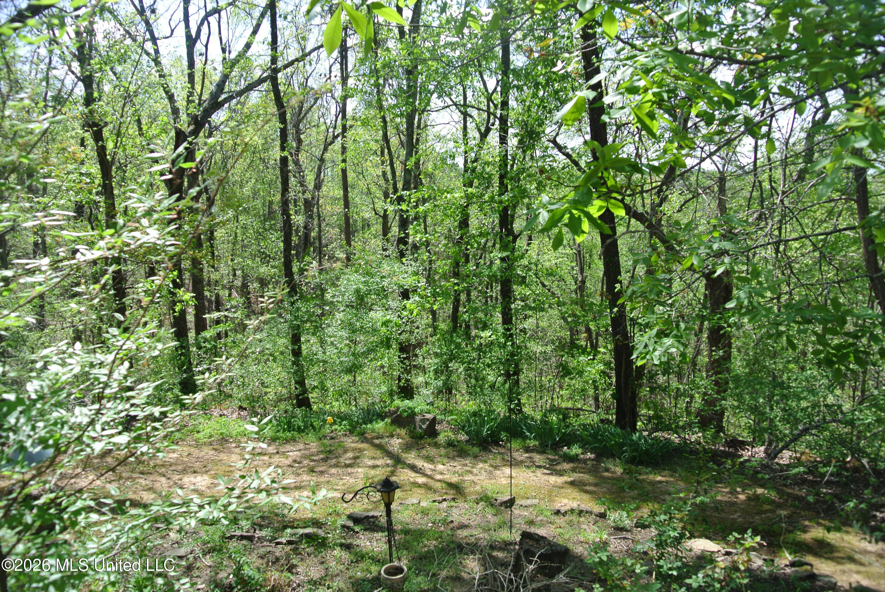15 Tamara Trail Trail Property Photo 28