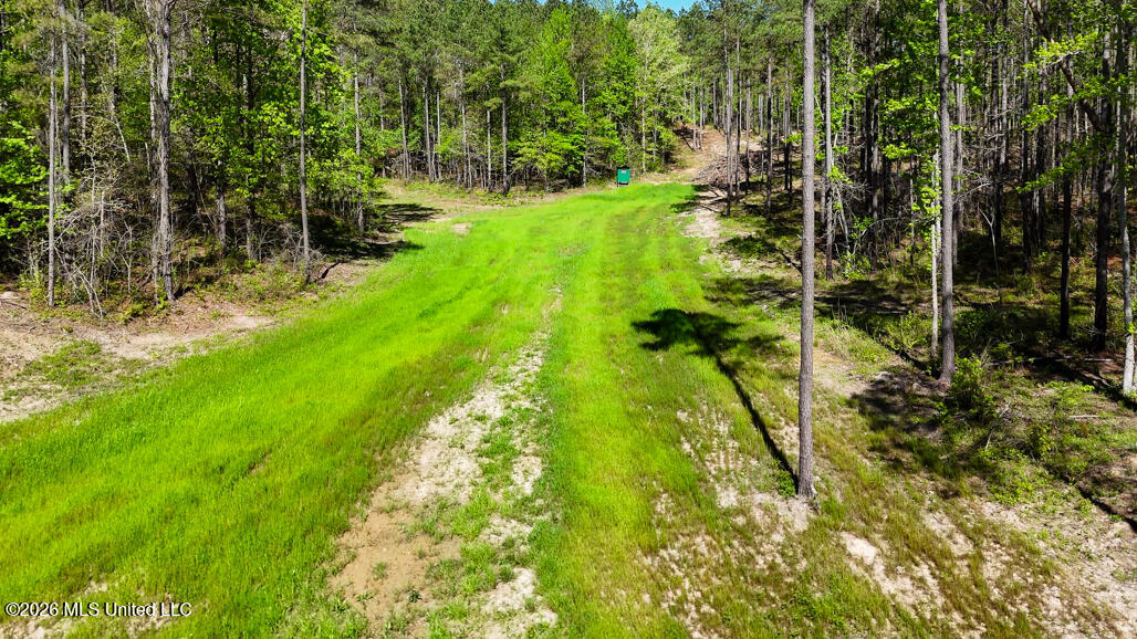 333 Beaverdam Road Property Photo 80