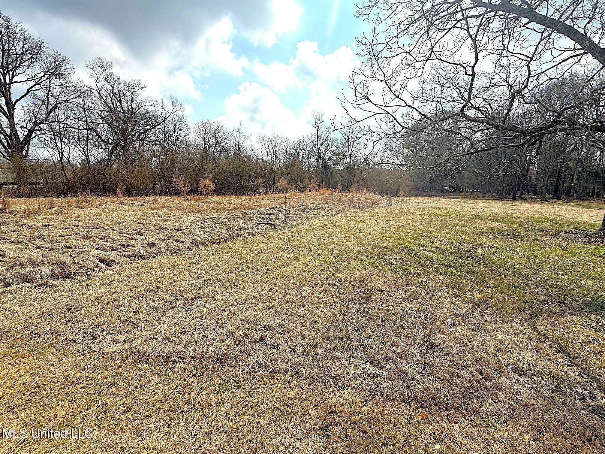 4017 E Fernwood Road Property Photo 3