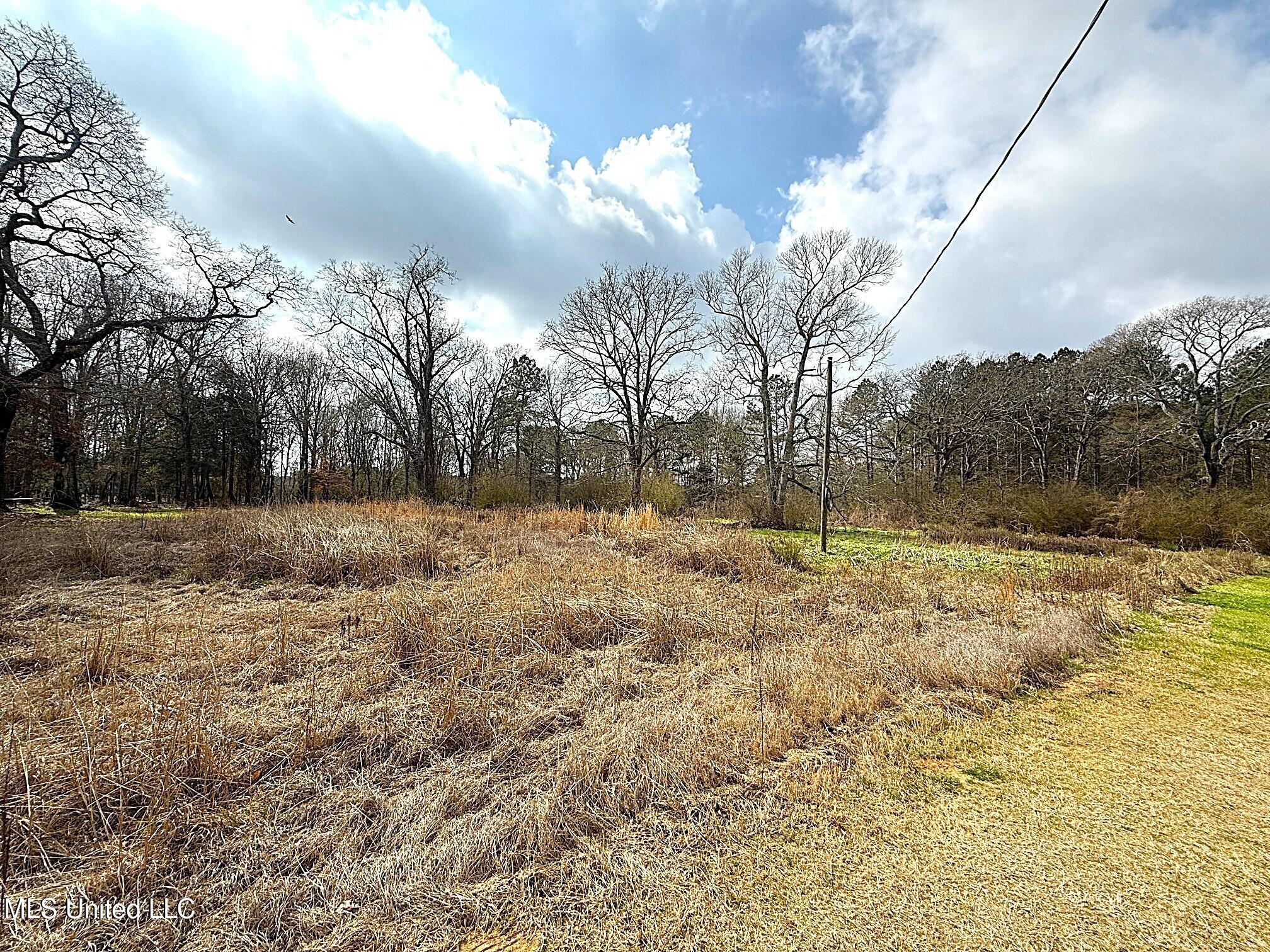 4017 E Fernwood Road Property Photo 4