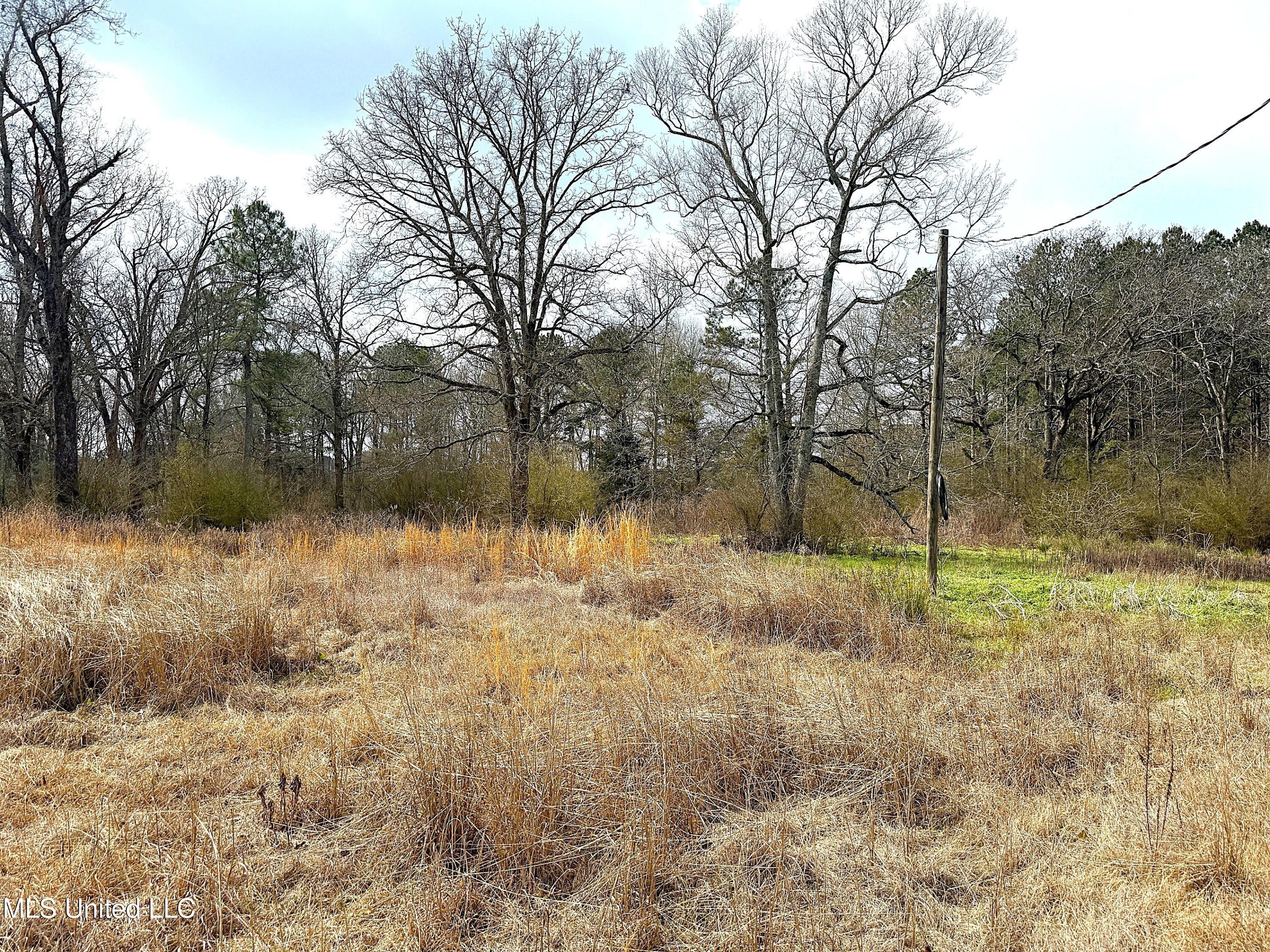 4017 E Fernwood Road Property Photo 5