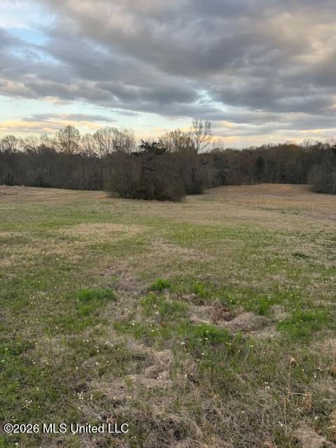 0 Meadow Oaks Lane Property Photo 3