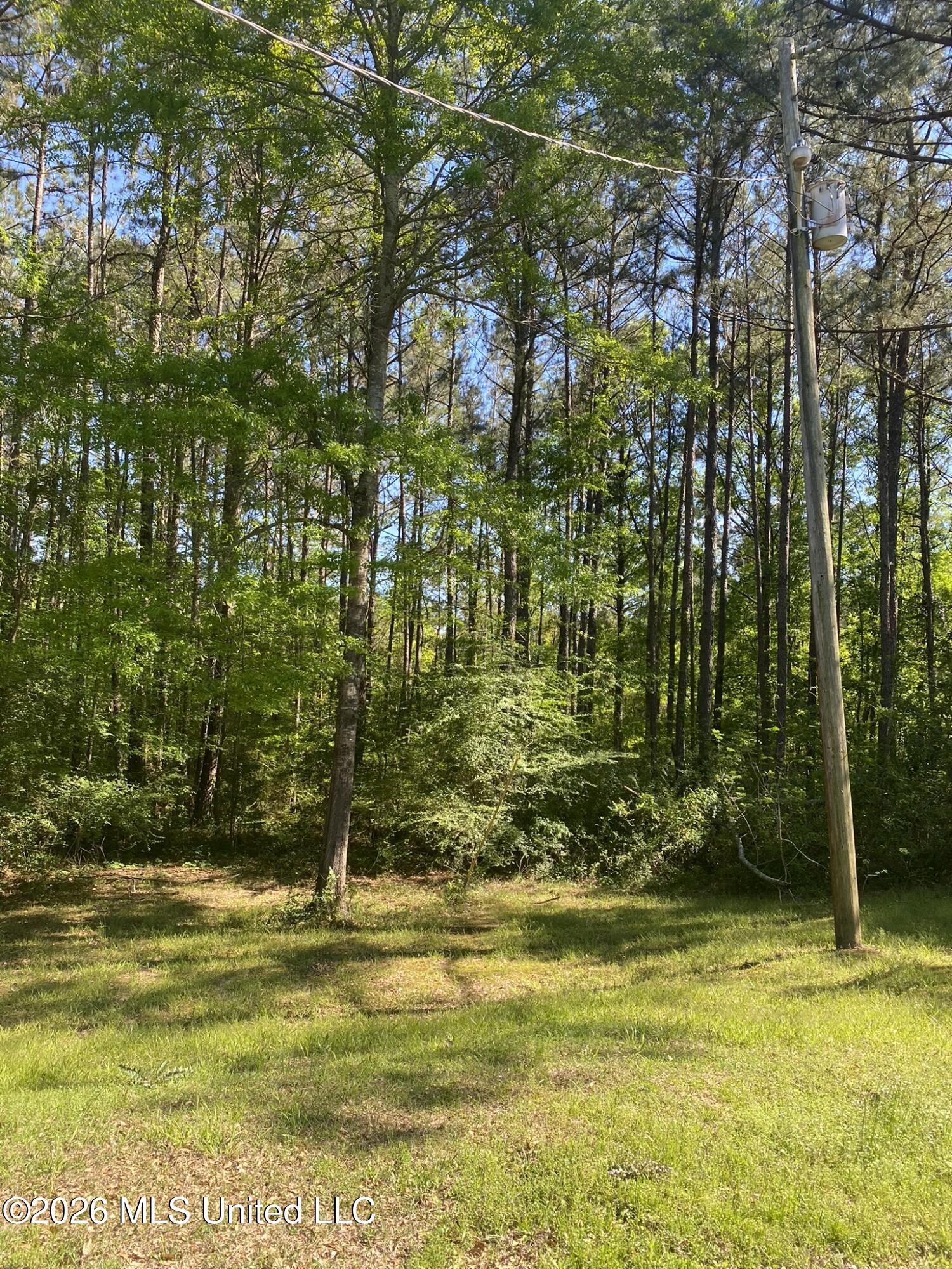 2342 Ferguson Mill Road Property Photo 21