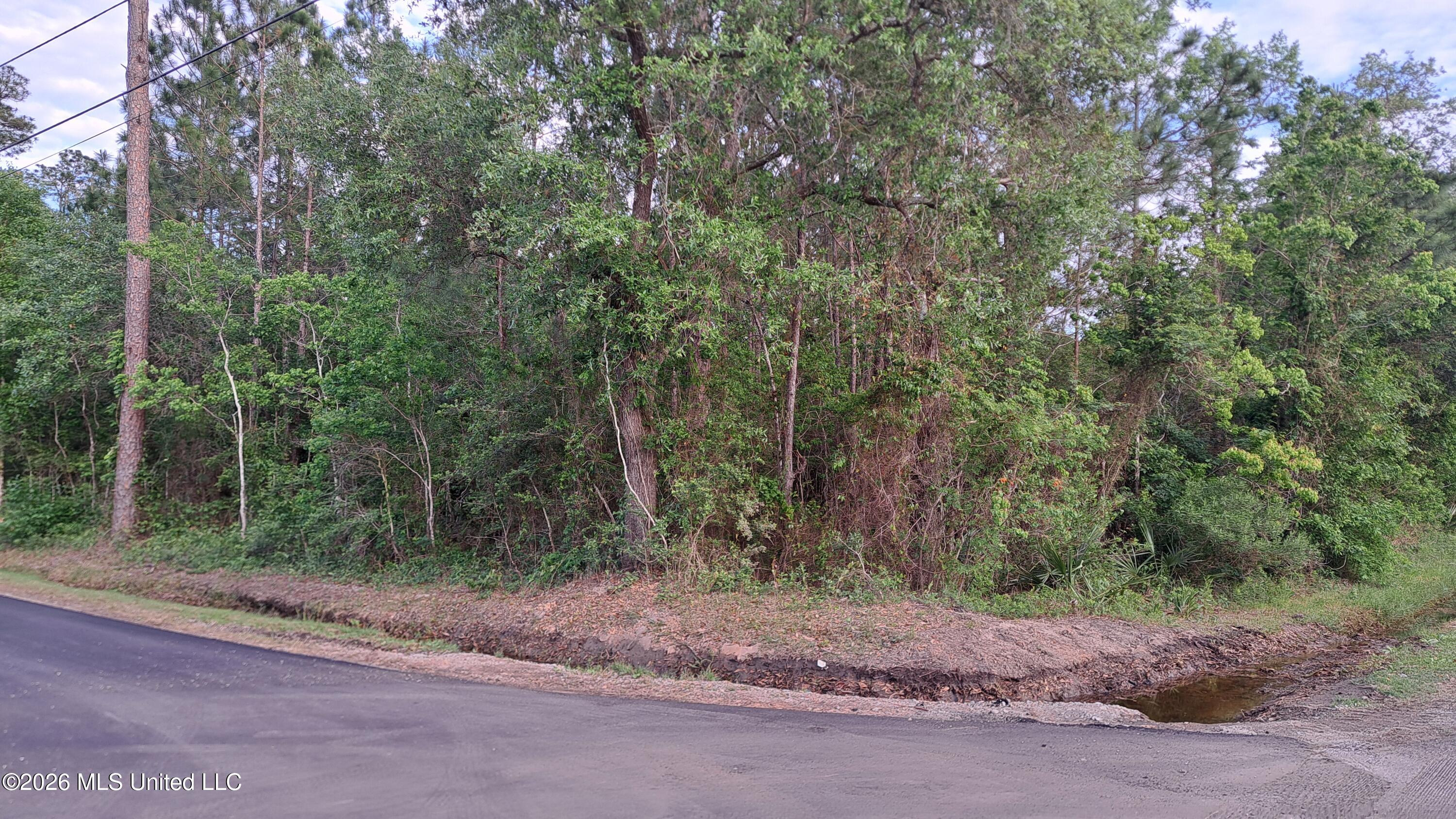 Avenue D Property Photo 15
