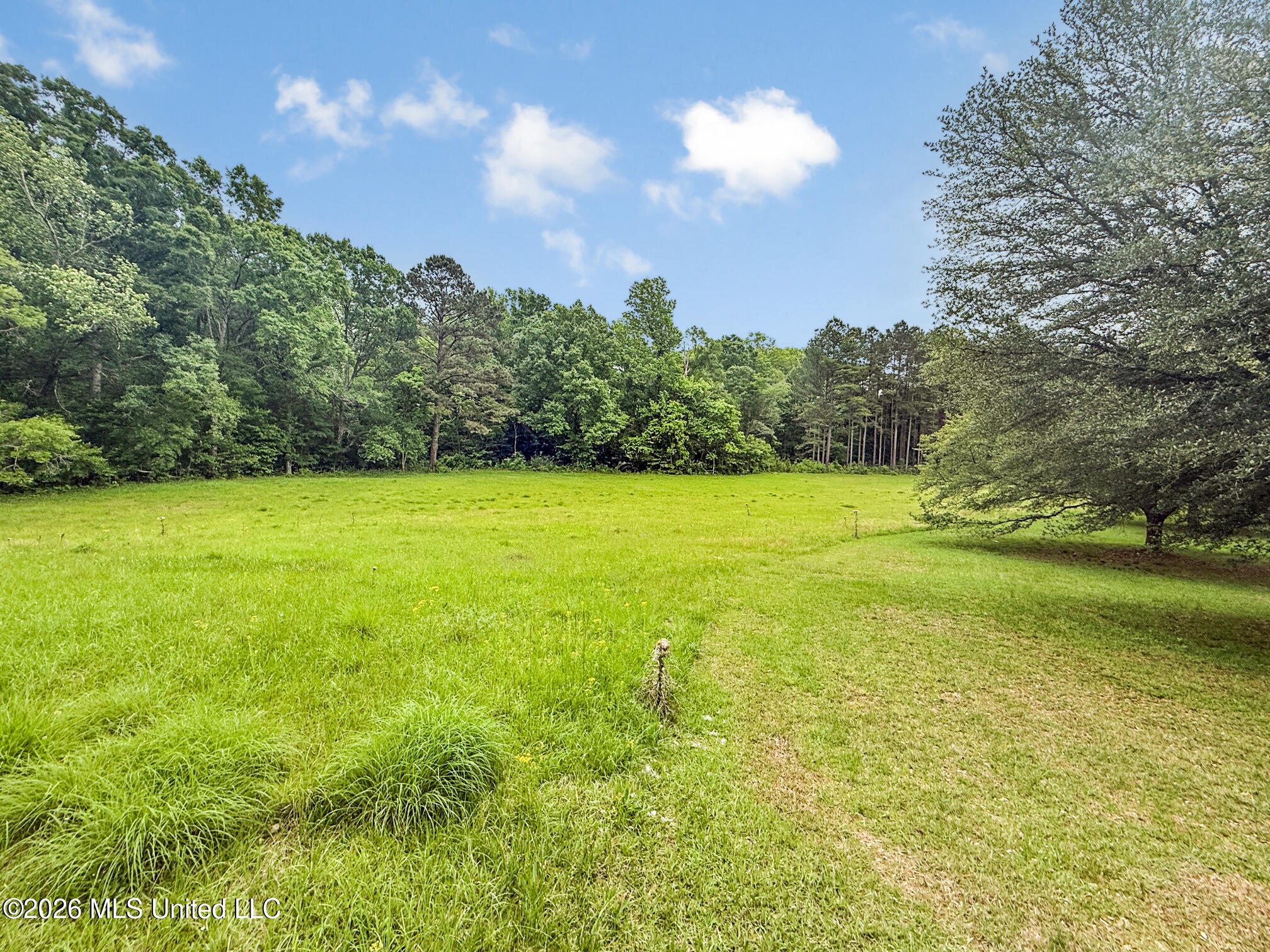 2039 Perrott Road Property Photo 6