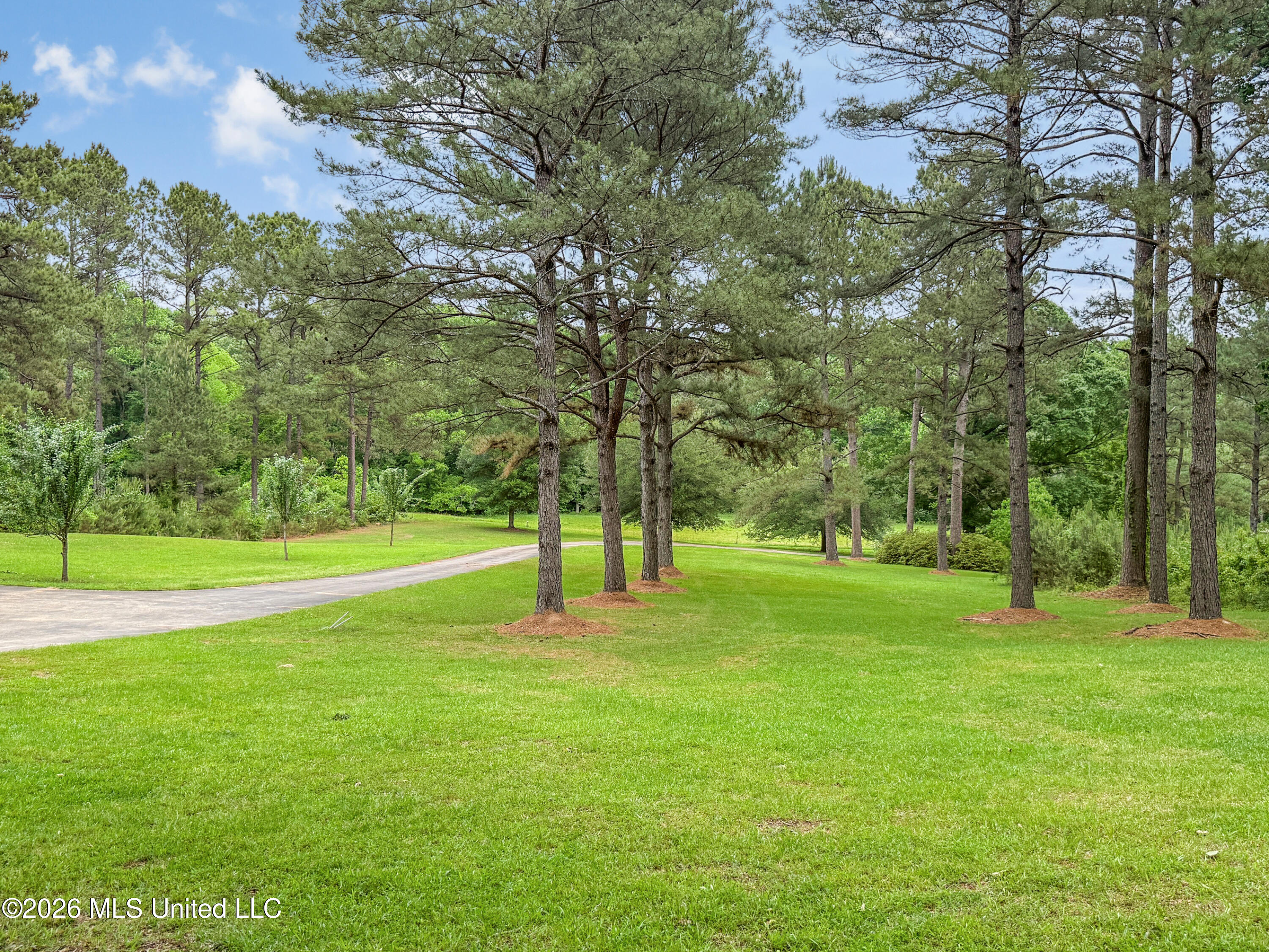 2039 Perrott Road Property Photo 8