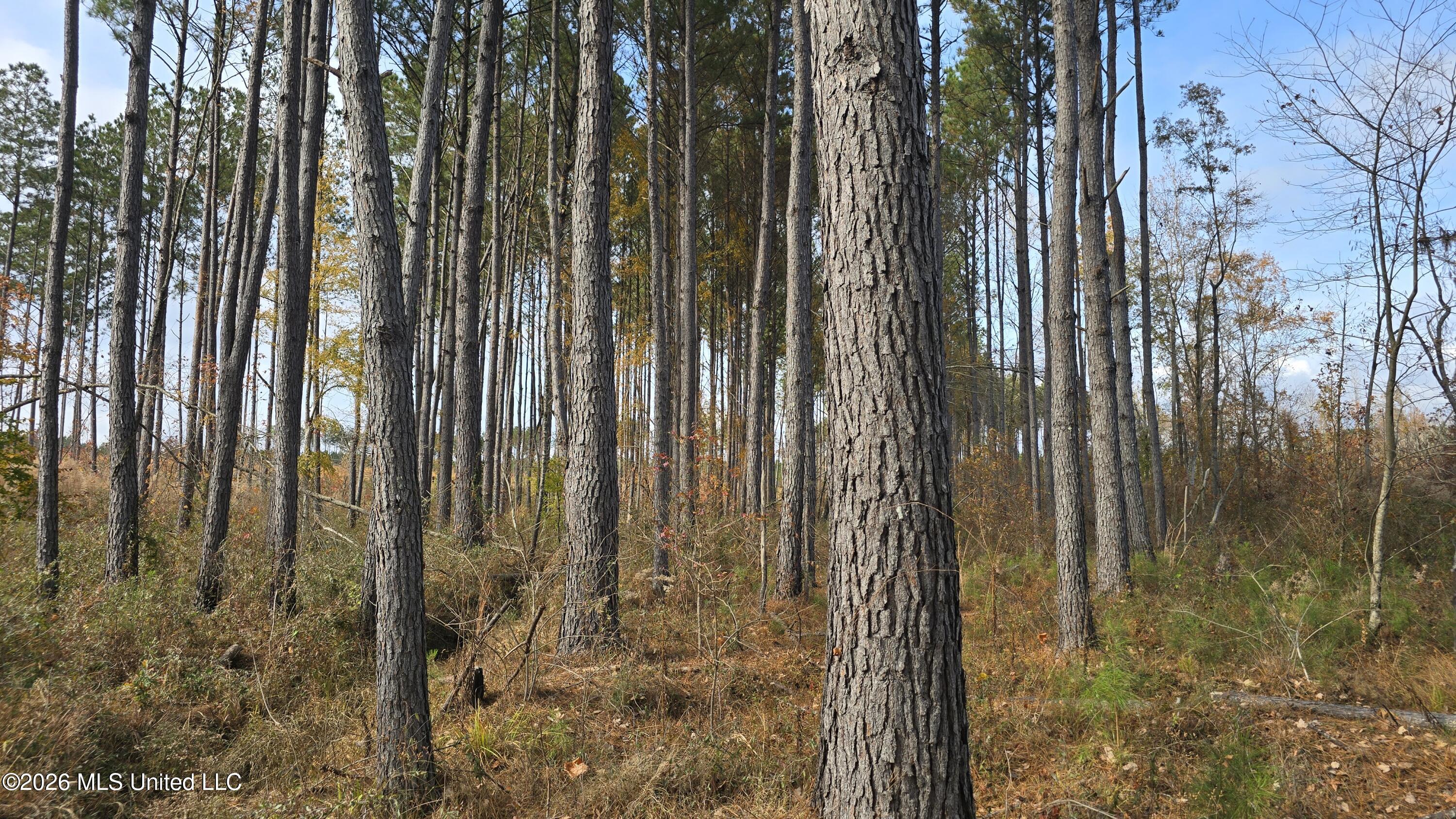 Old Trace Road Property Photo 2