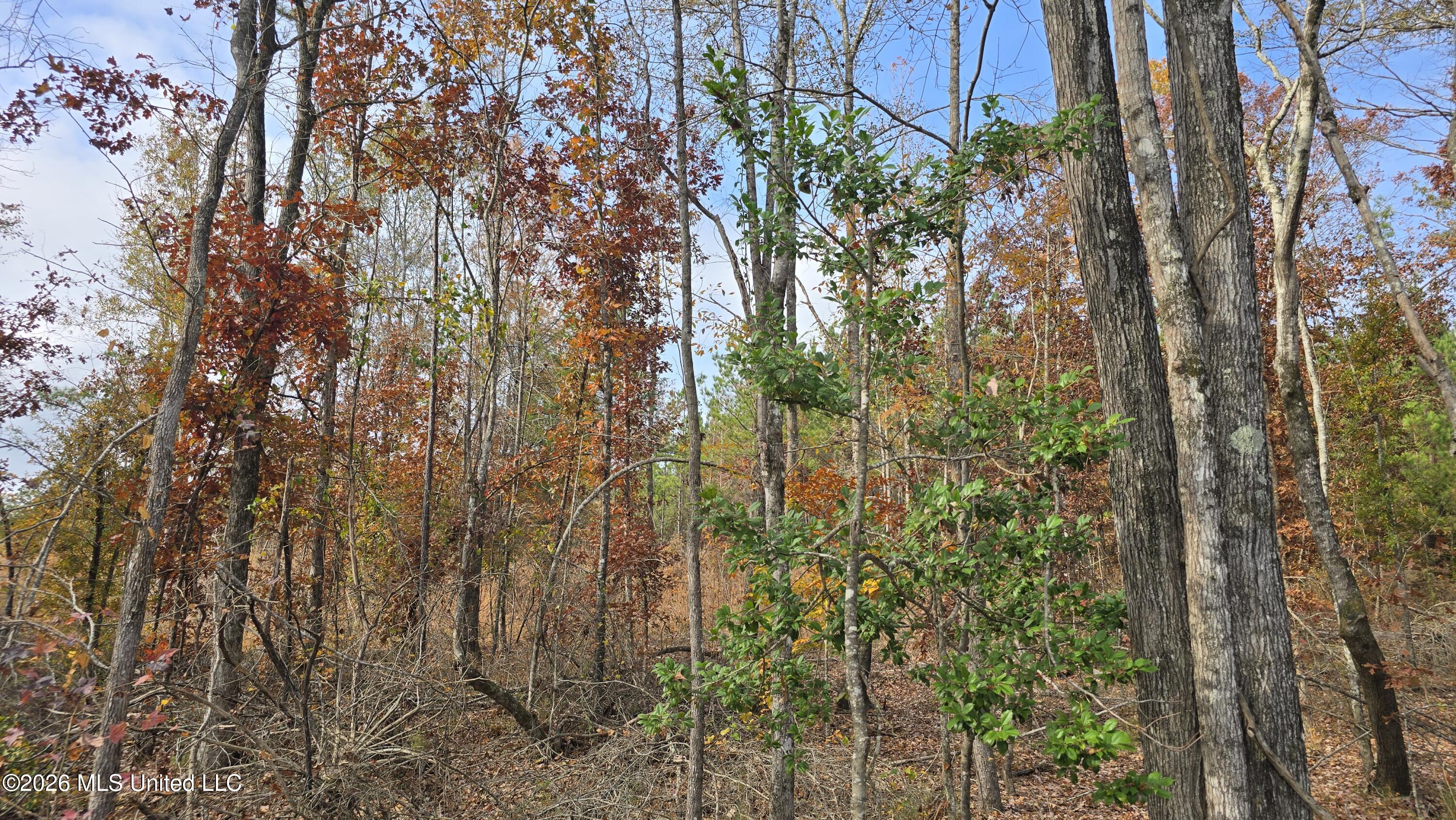 Old Trace Road Property Photo 3