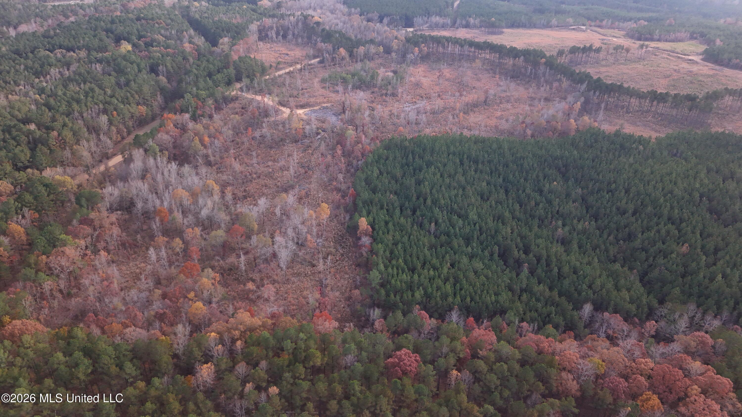 Old Trace Road Property Photo 8