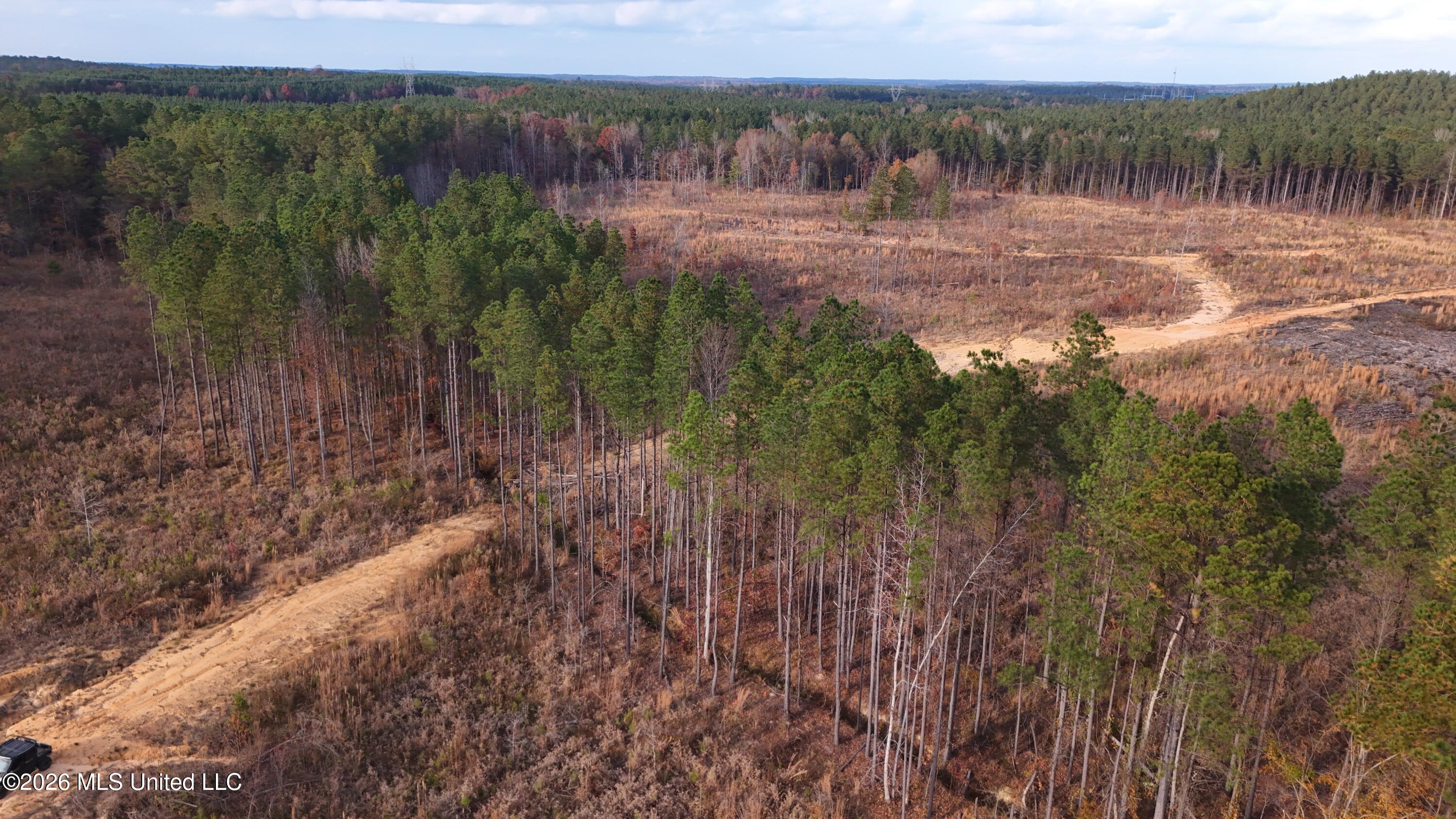 Old Trace Road Property Photo 9