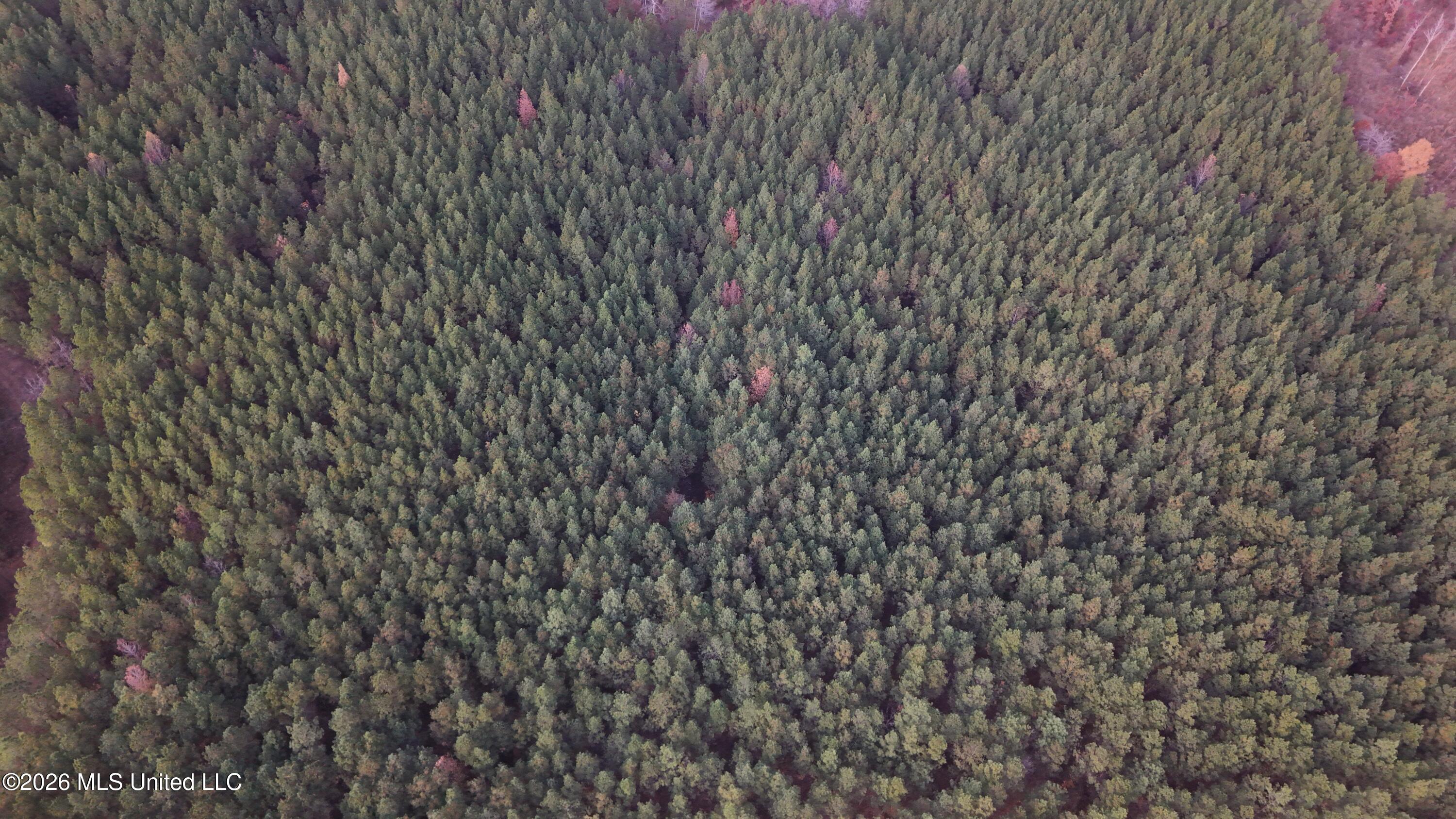 Old Trace Road Property Photo 13