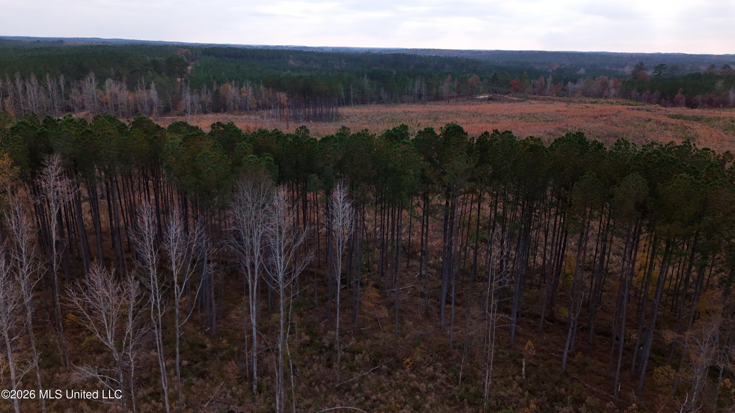 Old Trace Road Property Photo 15